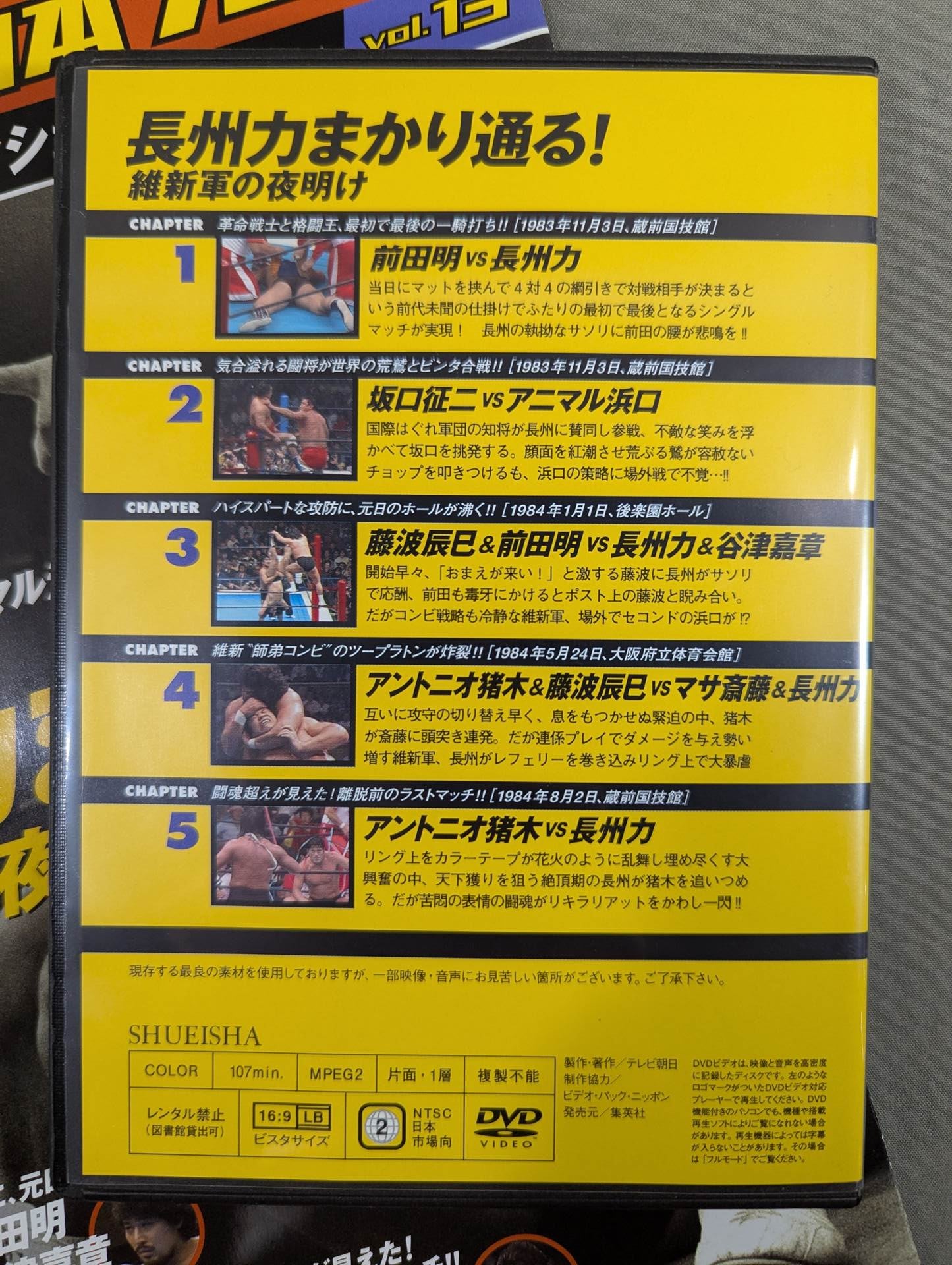 燃えろ!新日本プロレス vol.13