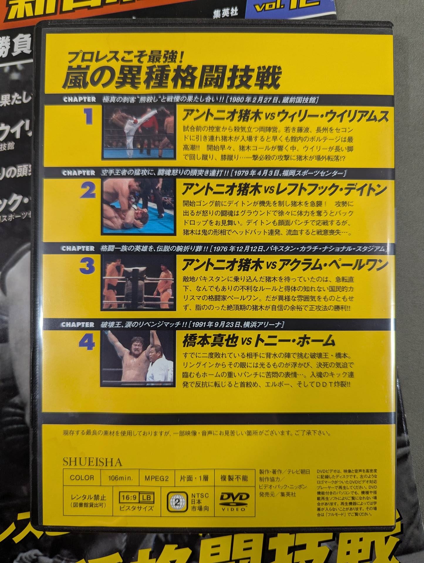 Burn! New Japan Pro Wrestling vol.12
