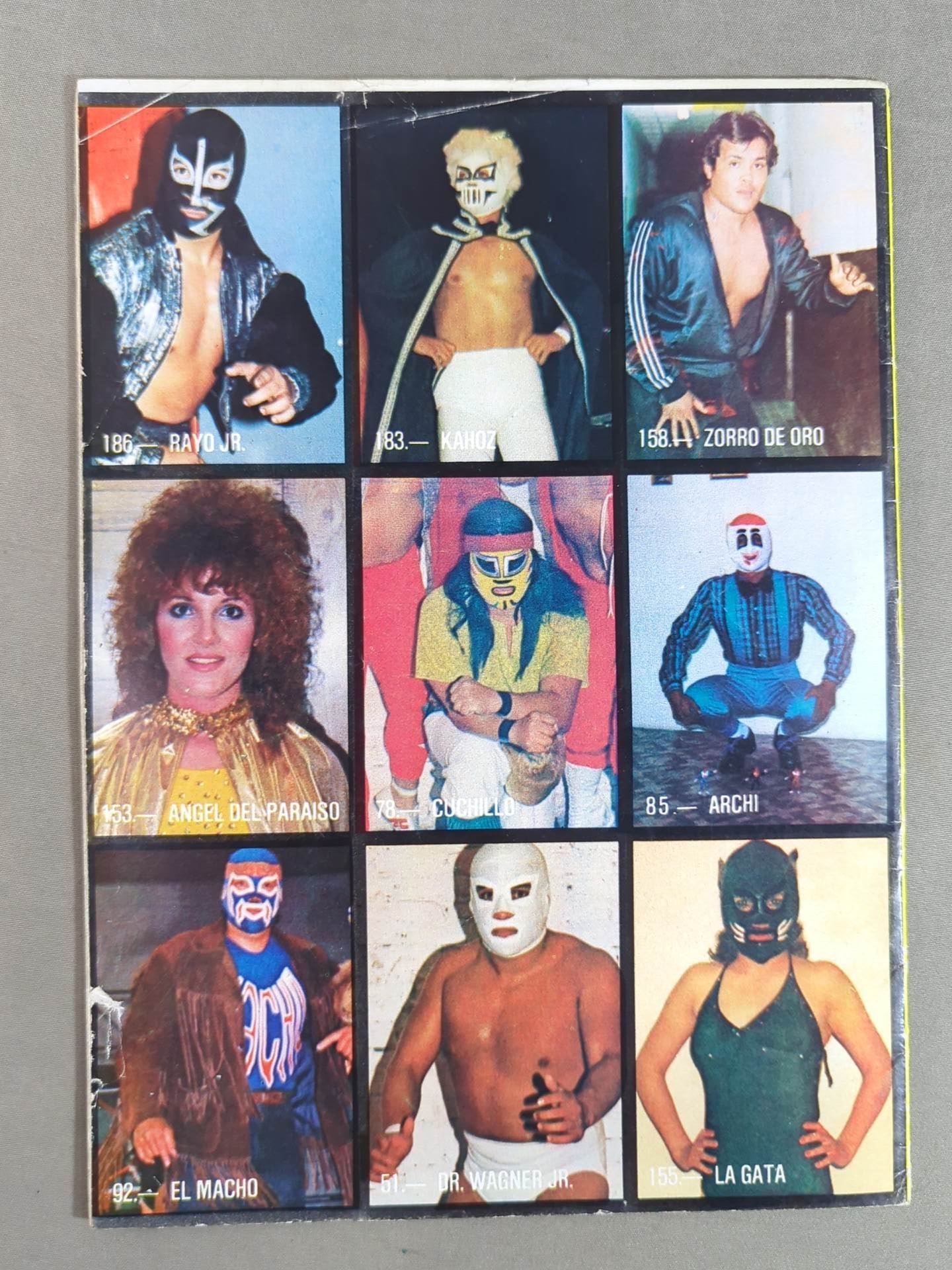 LUCHA LIBRE No.1243