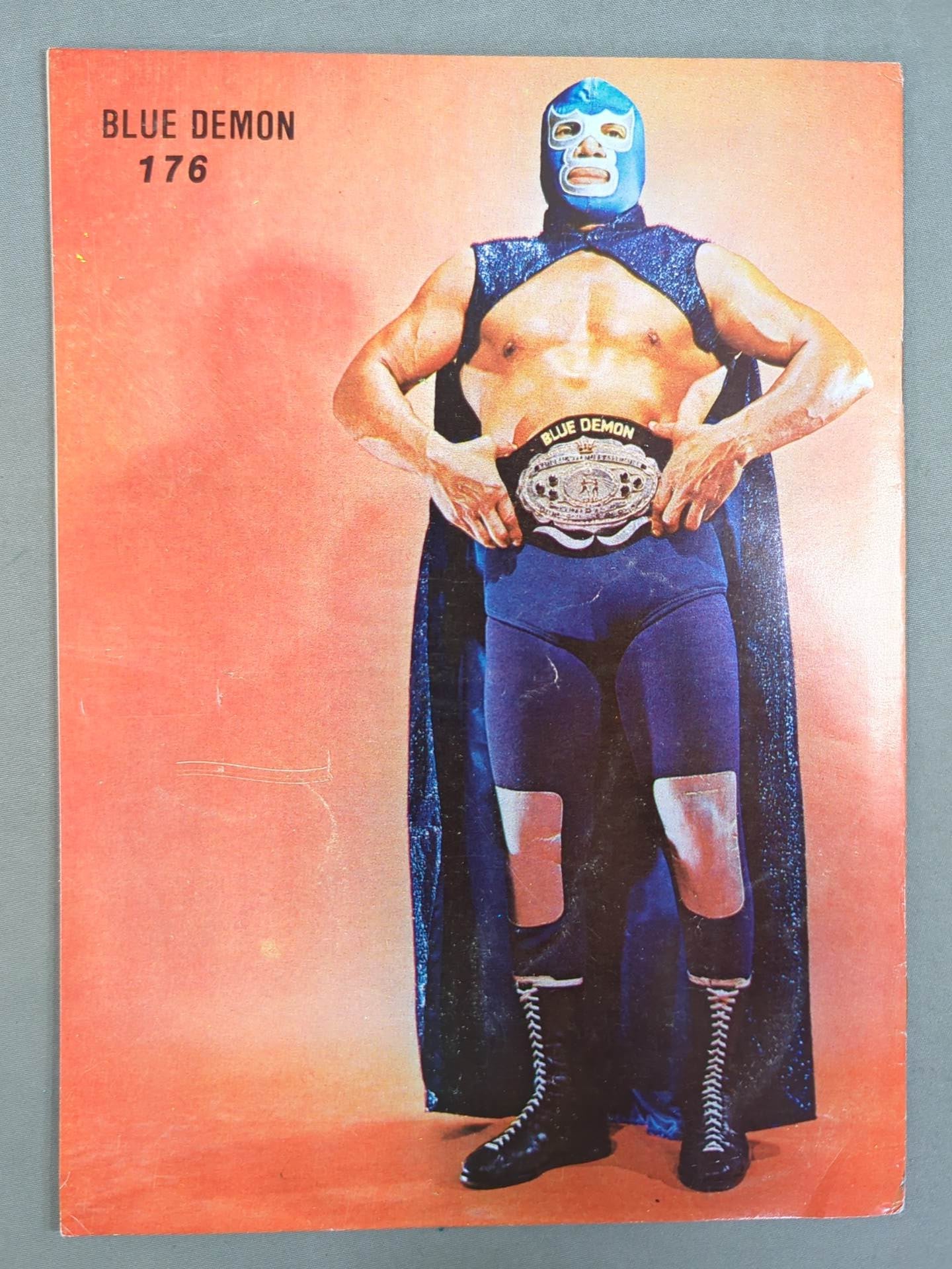LUCHA LIBRE No.1253