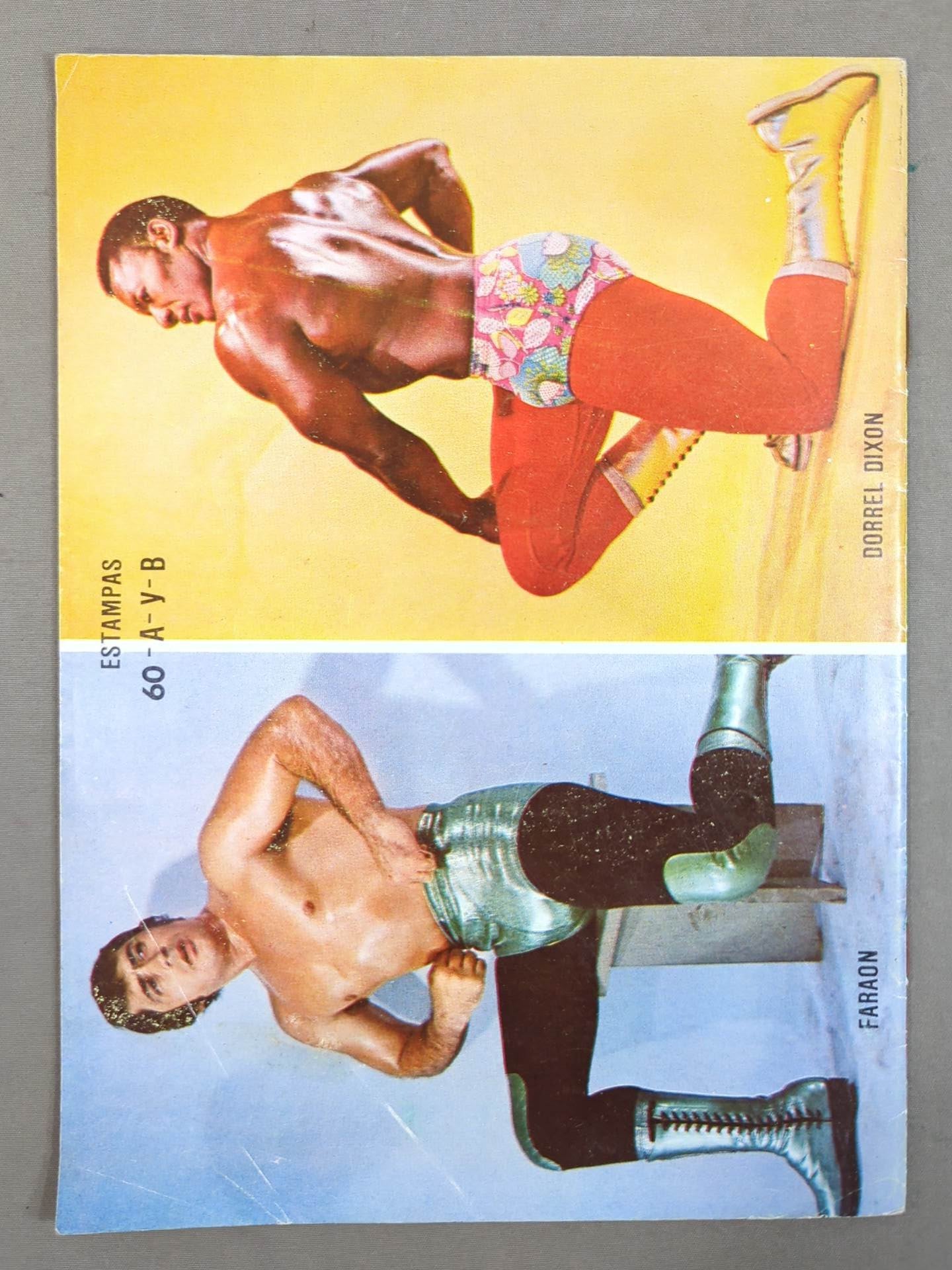 LUCHA LIBRE No.1250