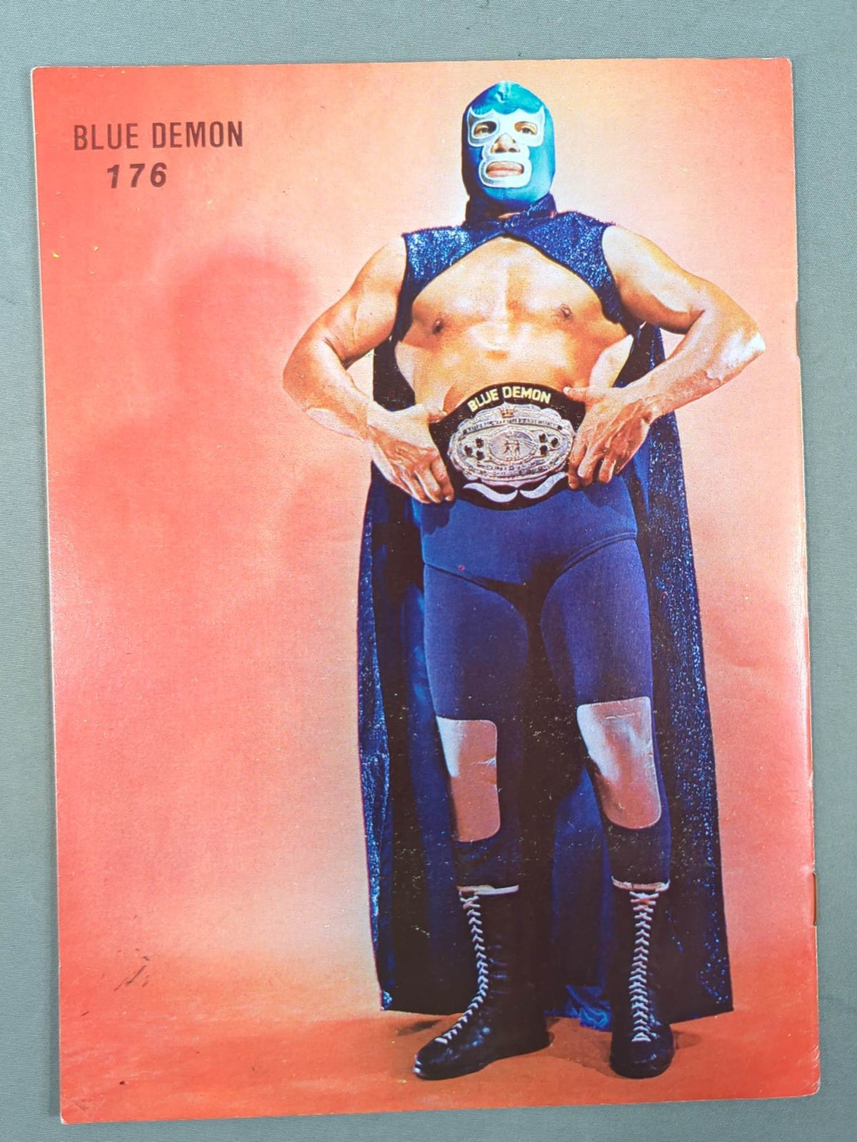 LUCHA LIBRE No.1253