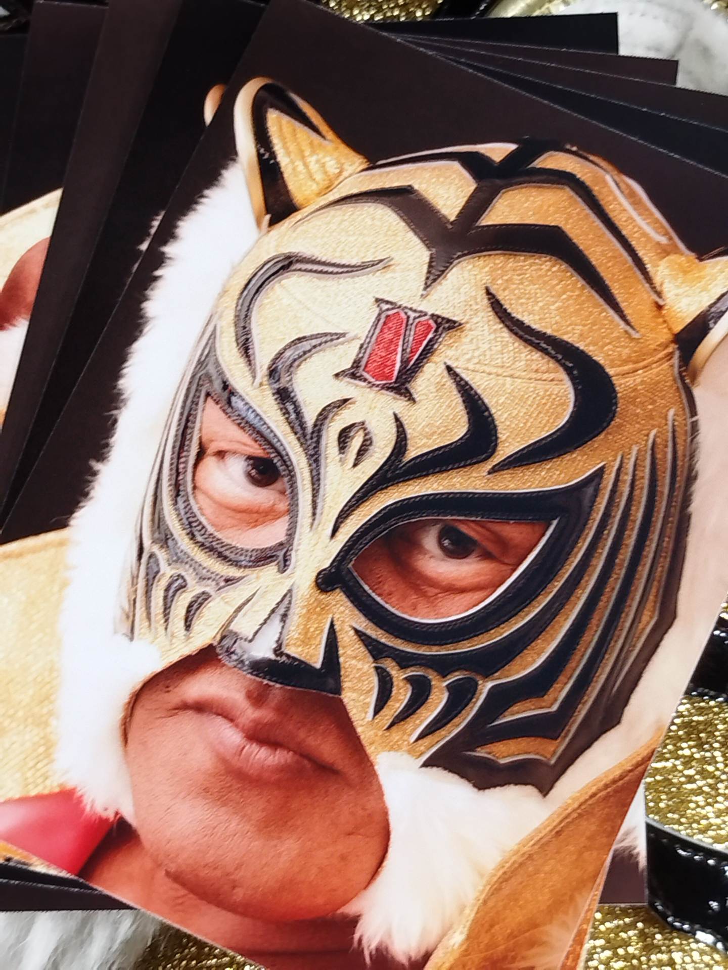 4th Tiger Mask