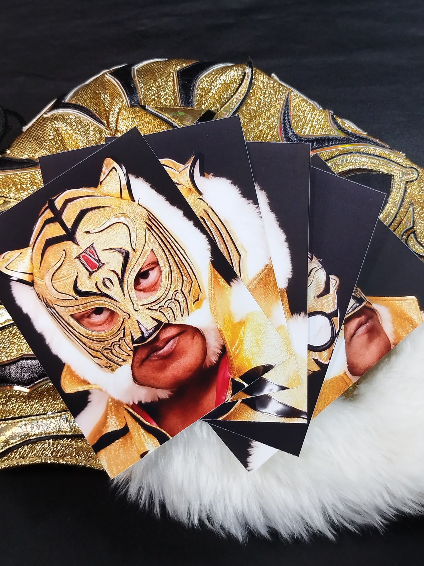 4th Tiger Mask
