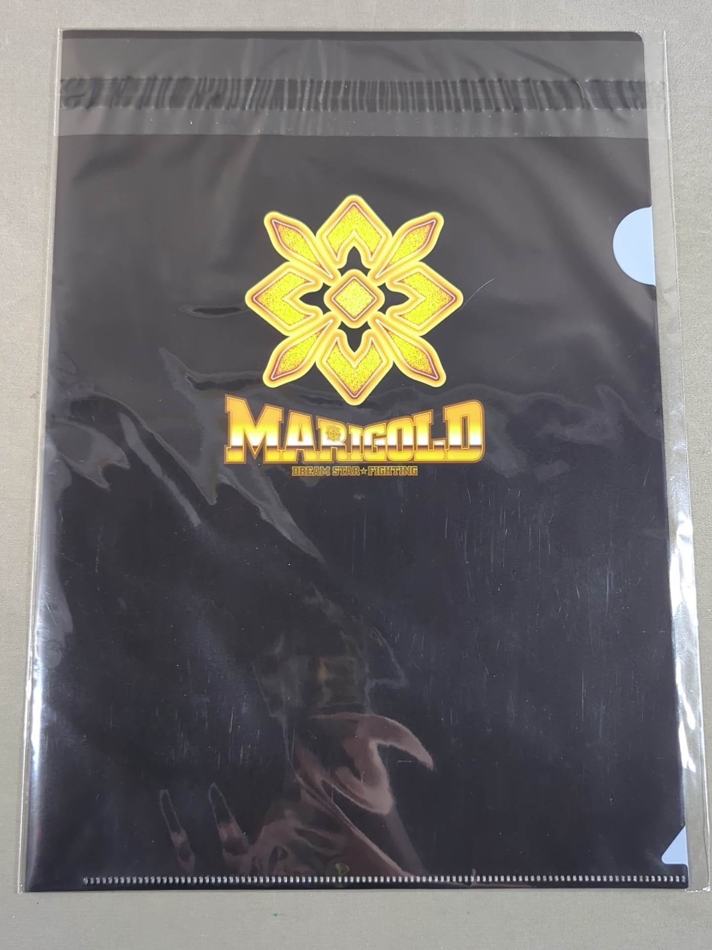 Chika Goto #51 Marigold plastic file folder