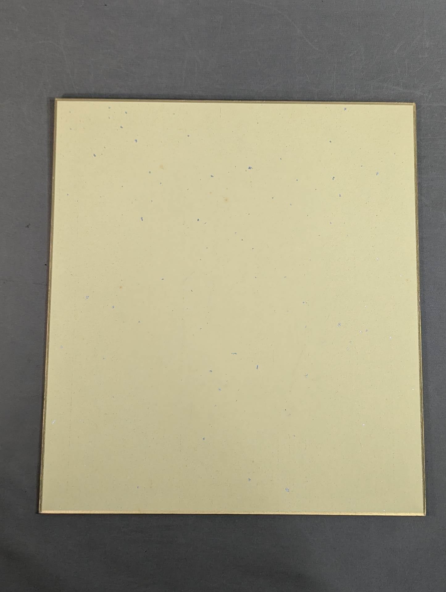 Shinsuke Nakamura (Lion Mark ) Shikishi ( Autograph board ) )