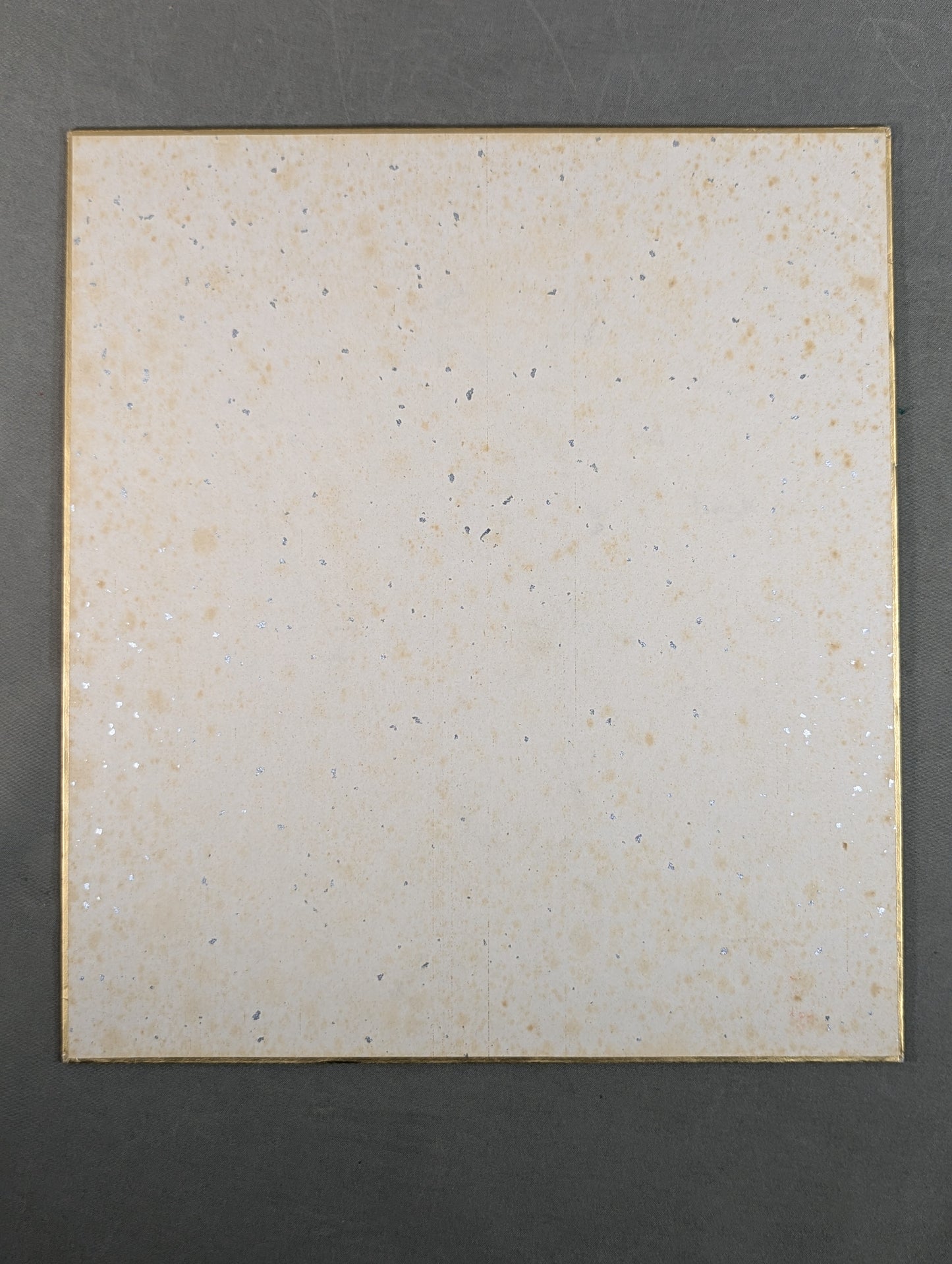 Inosuke Shikimori (24th)