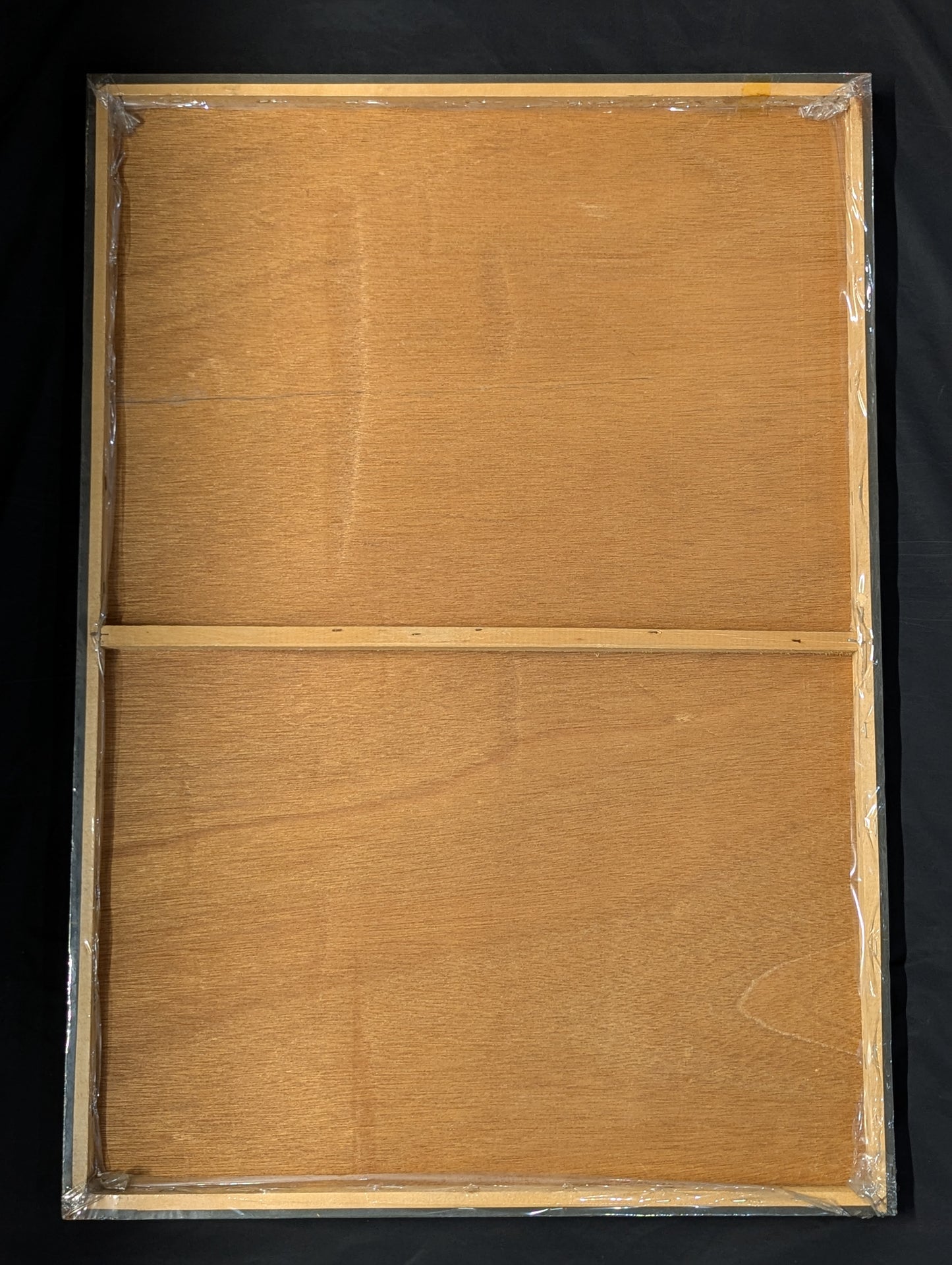 【Maki Ueda hand signed autograph】Beauty Pair Large Format Photo Panel