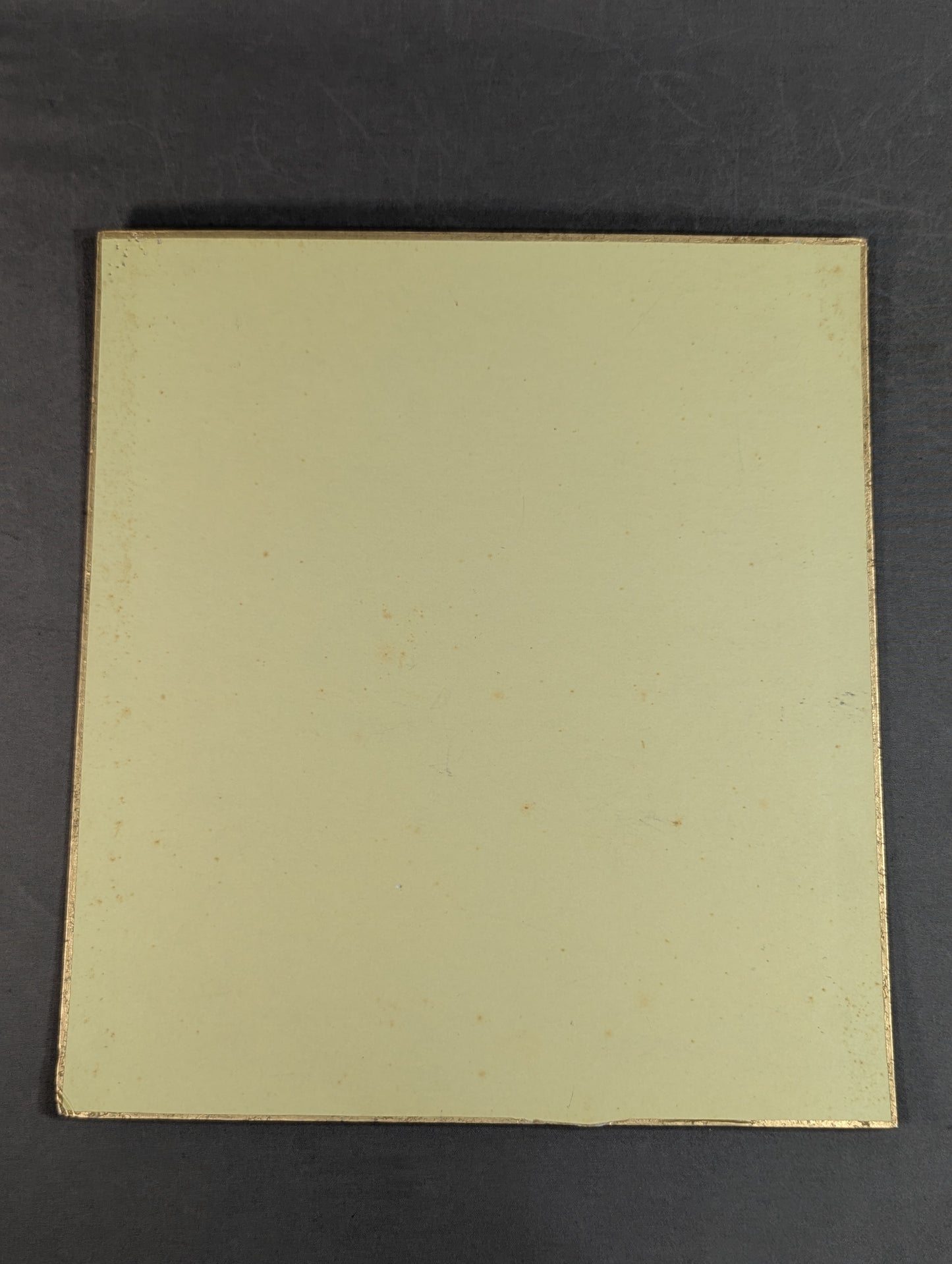 ★ King ★ of Destruction Shinya Hashimoto