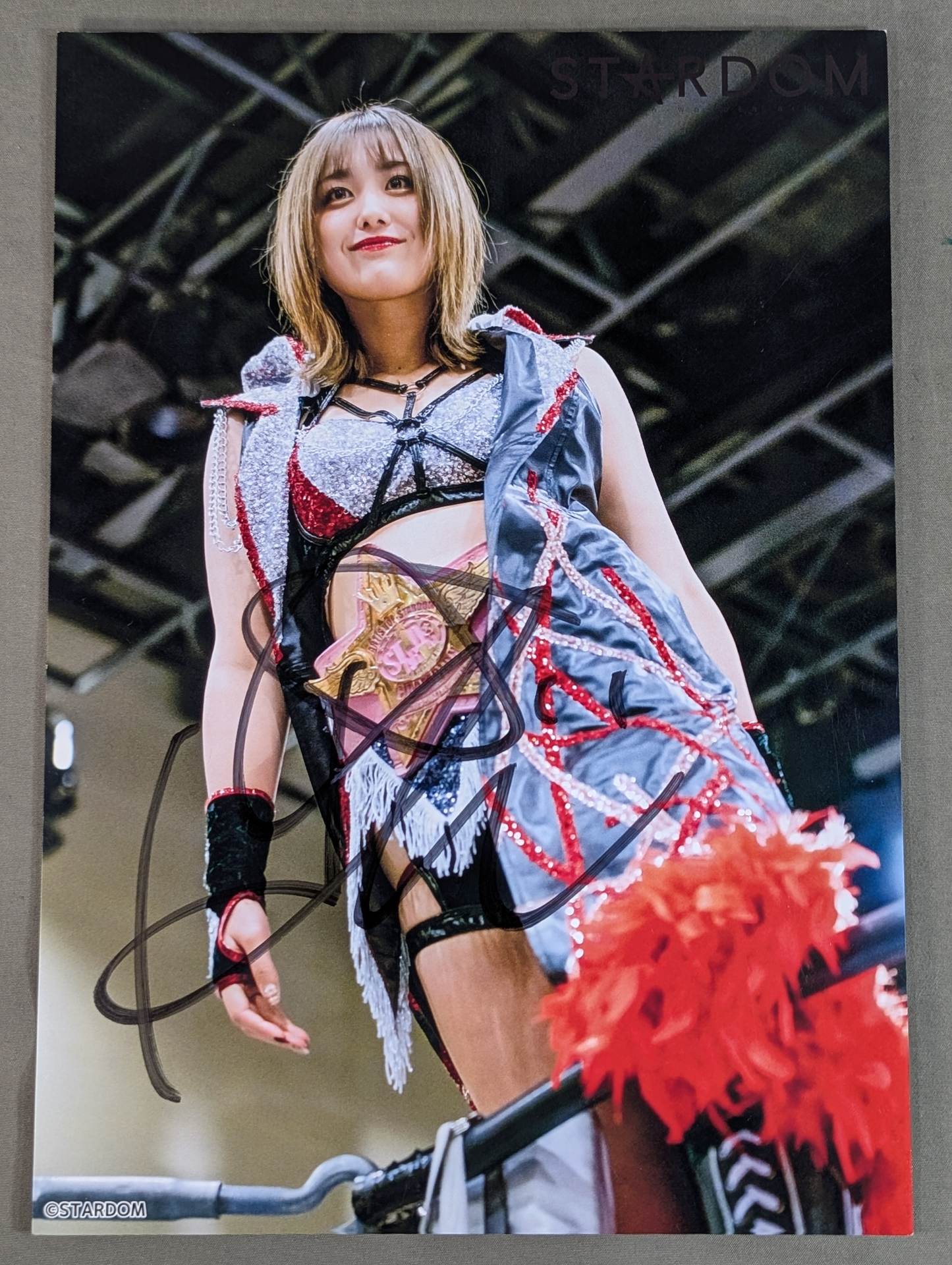 ひめか 直筆サイン入り スターダムポートレート(Q-5) – 闘道館