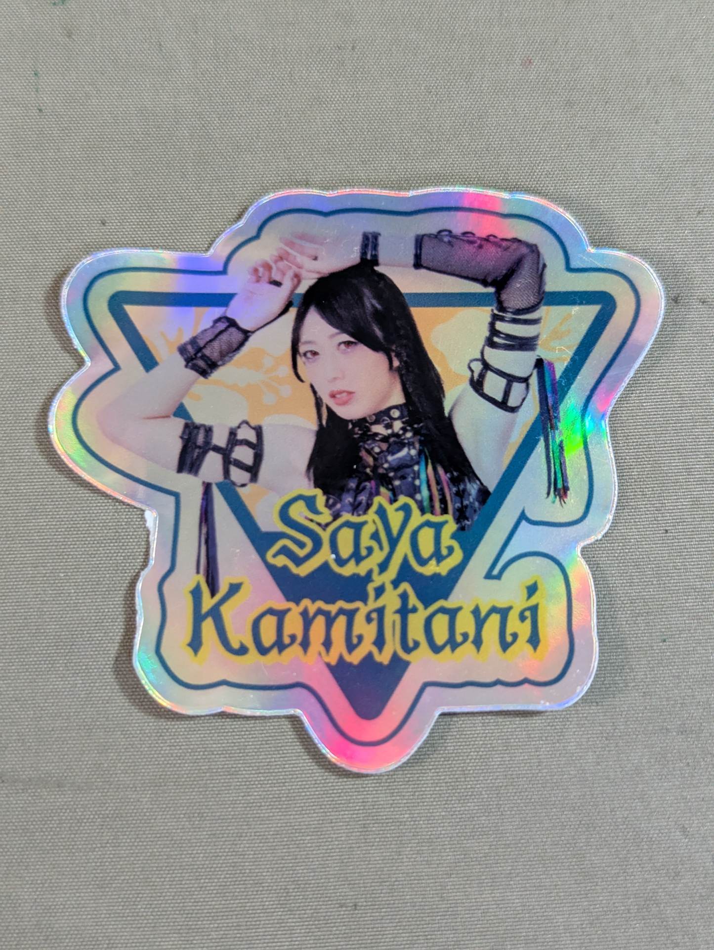 Saya Kamitani Travel Stickers
