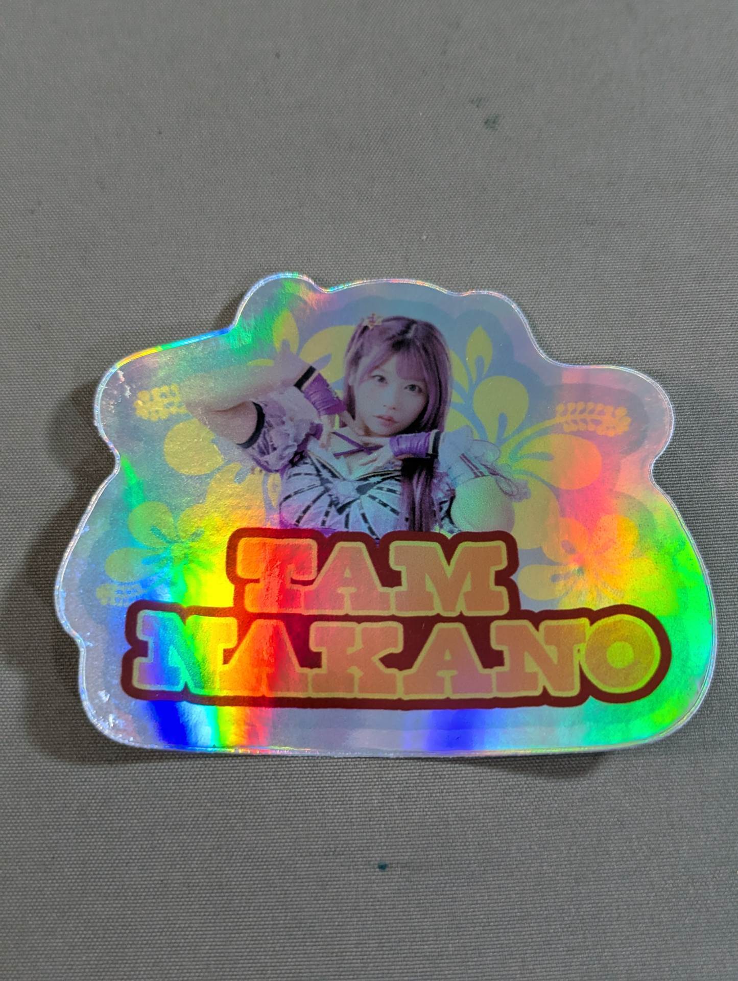 Tam Nakano Travel Stickers