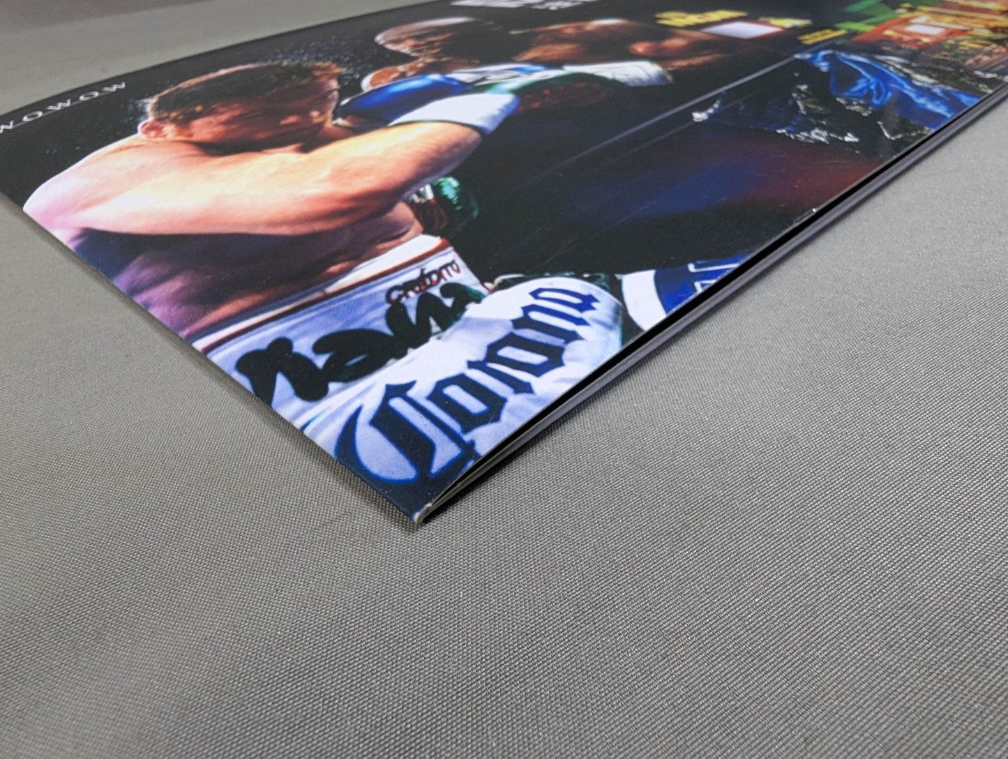 WOWOW Excite Match Featured fighters directory Spring 2014 issue