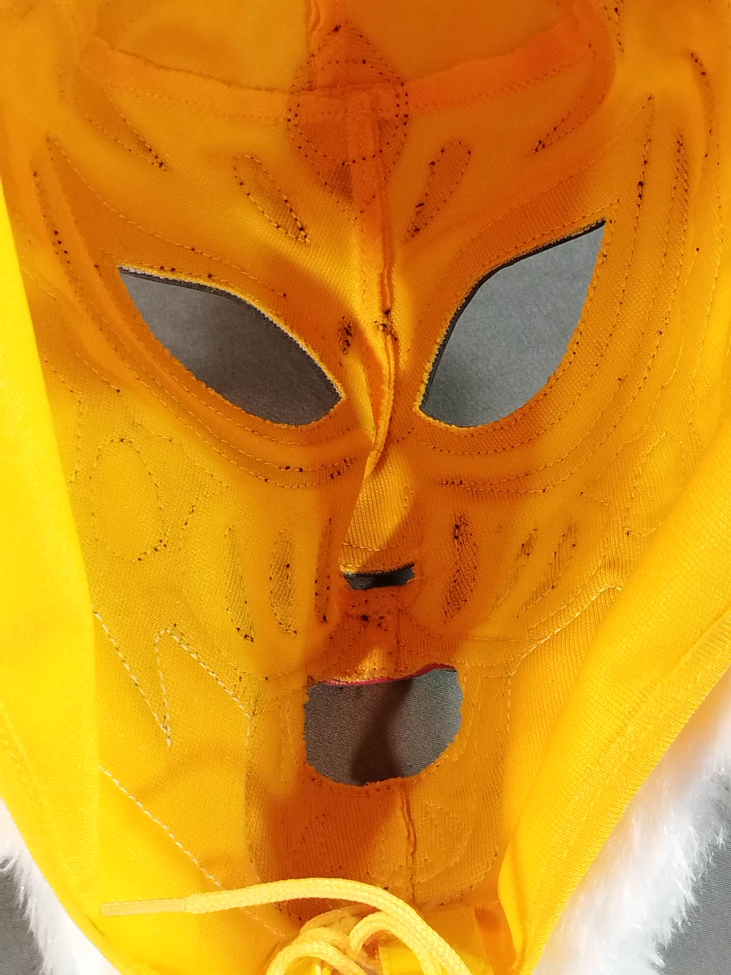 The first Tiger Mask