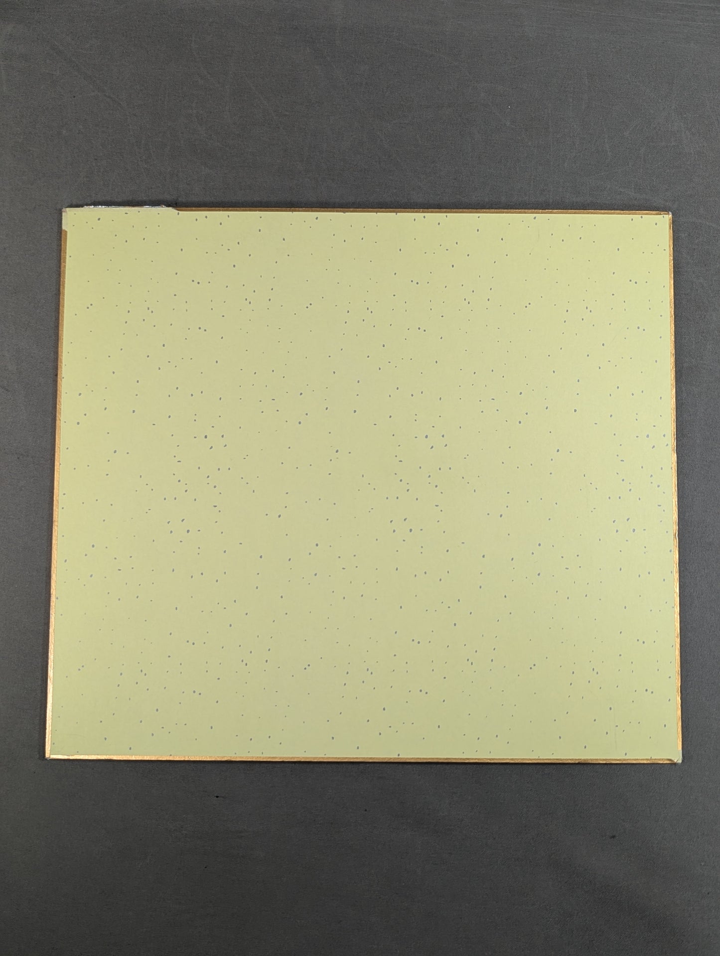 Akira Maeda & Bull Nakano