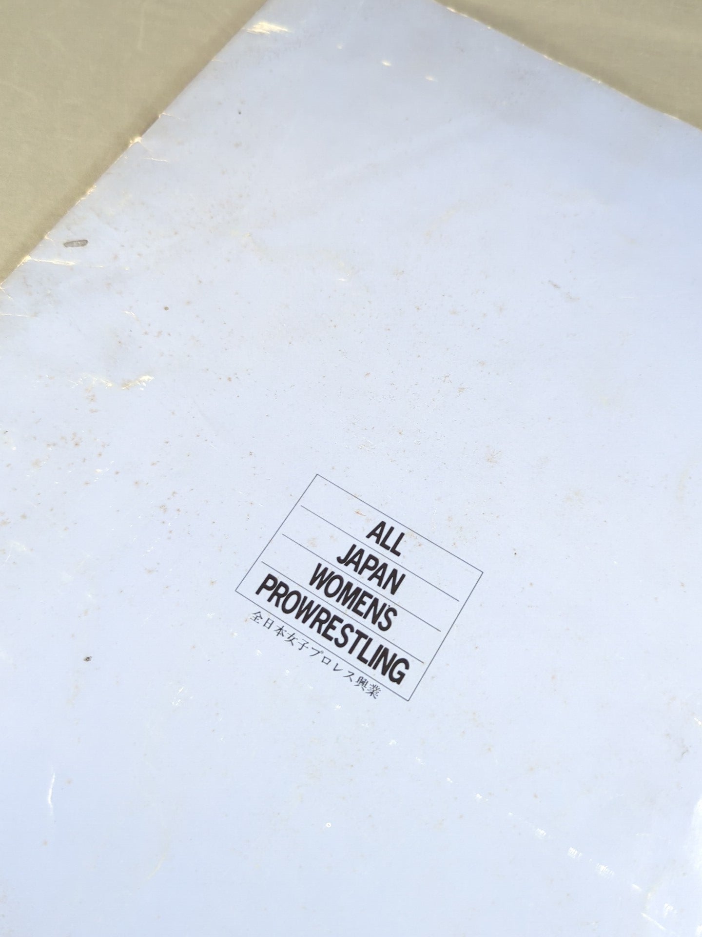 ★全日本女子プロレス10周年記念特大号★ GO!GO! SPECIAL