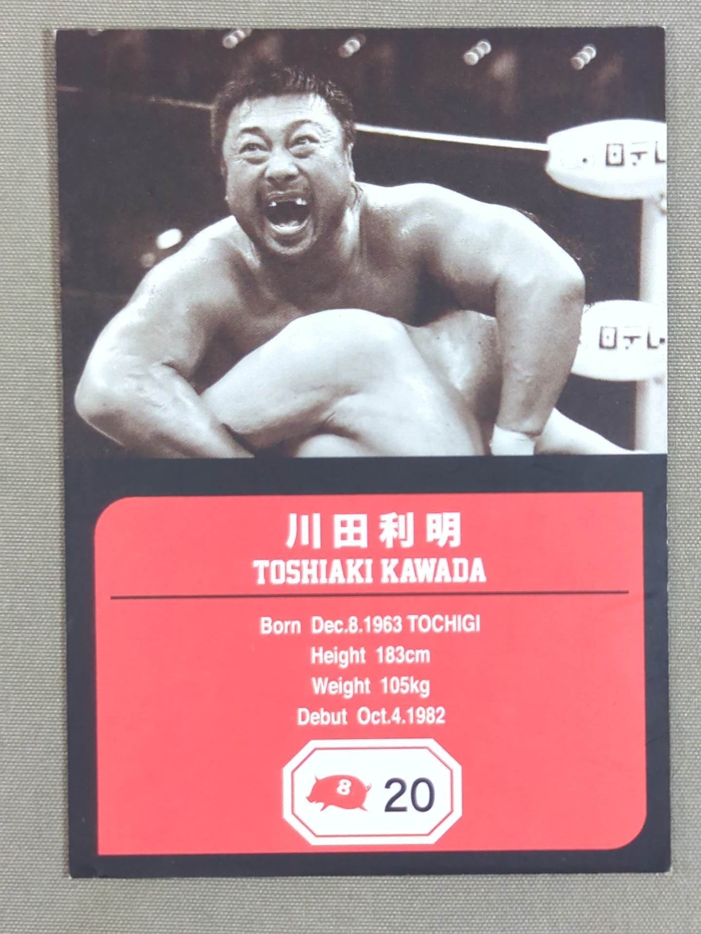 Team Full Swing Toshiaki Kawada Pro Wrestling Card