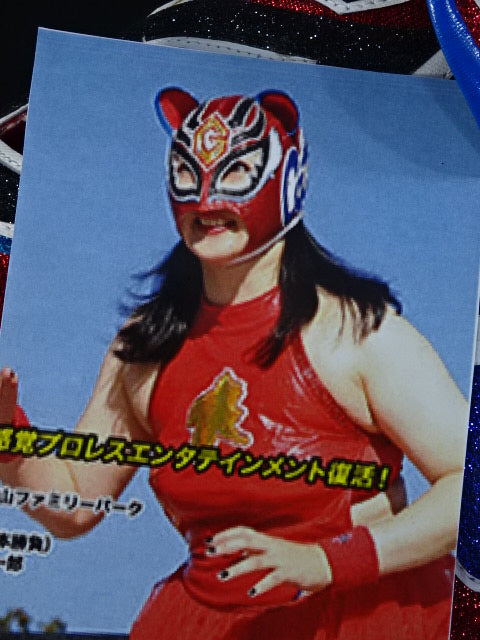 群馬キャット(バンクーバー・キャット)