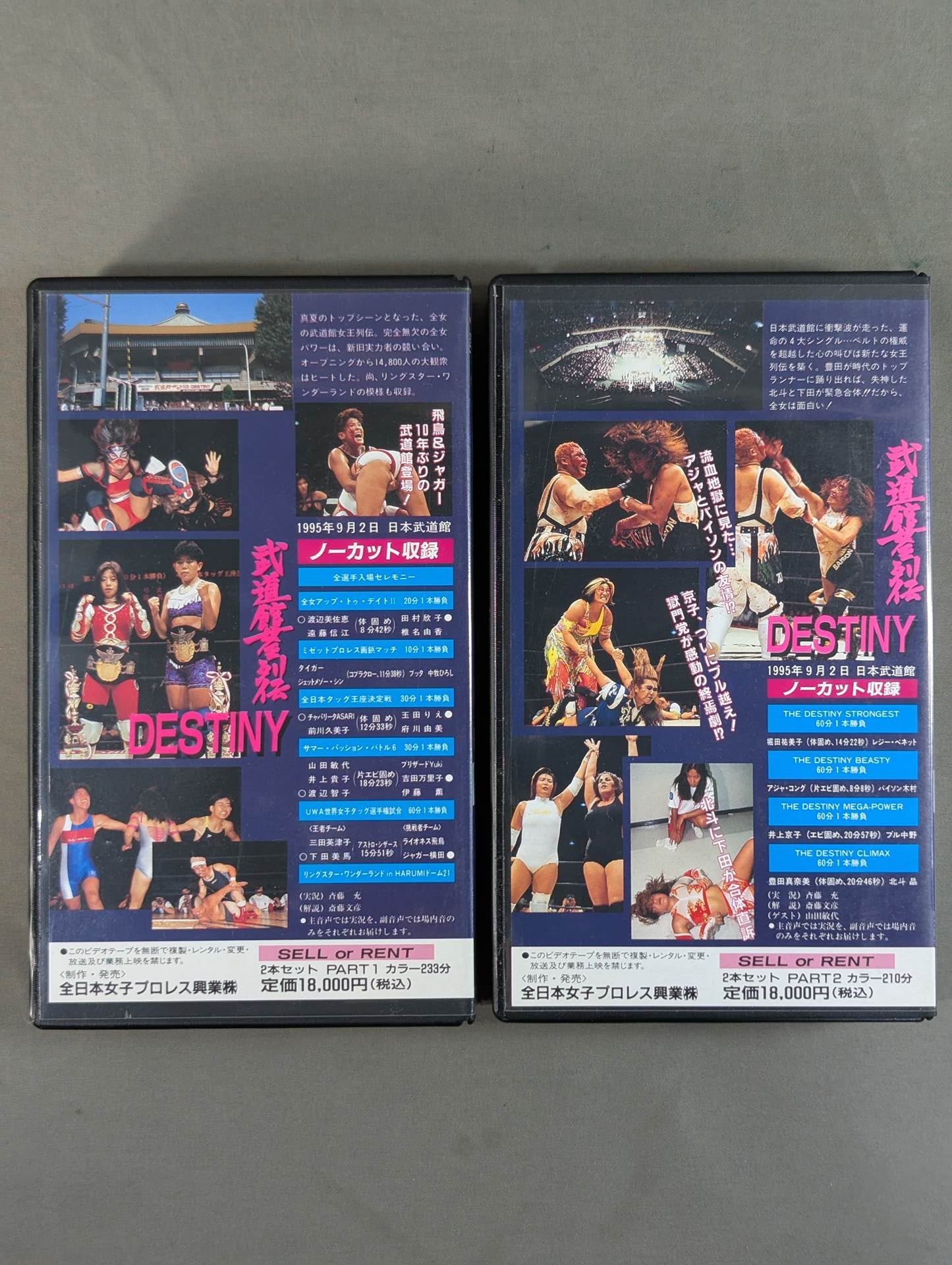 武道館女王列伝 ★DESTINY★ PART1&PART2
