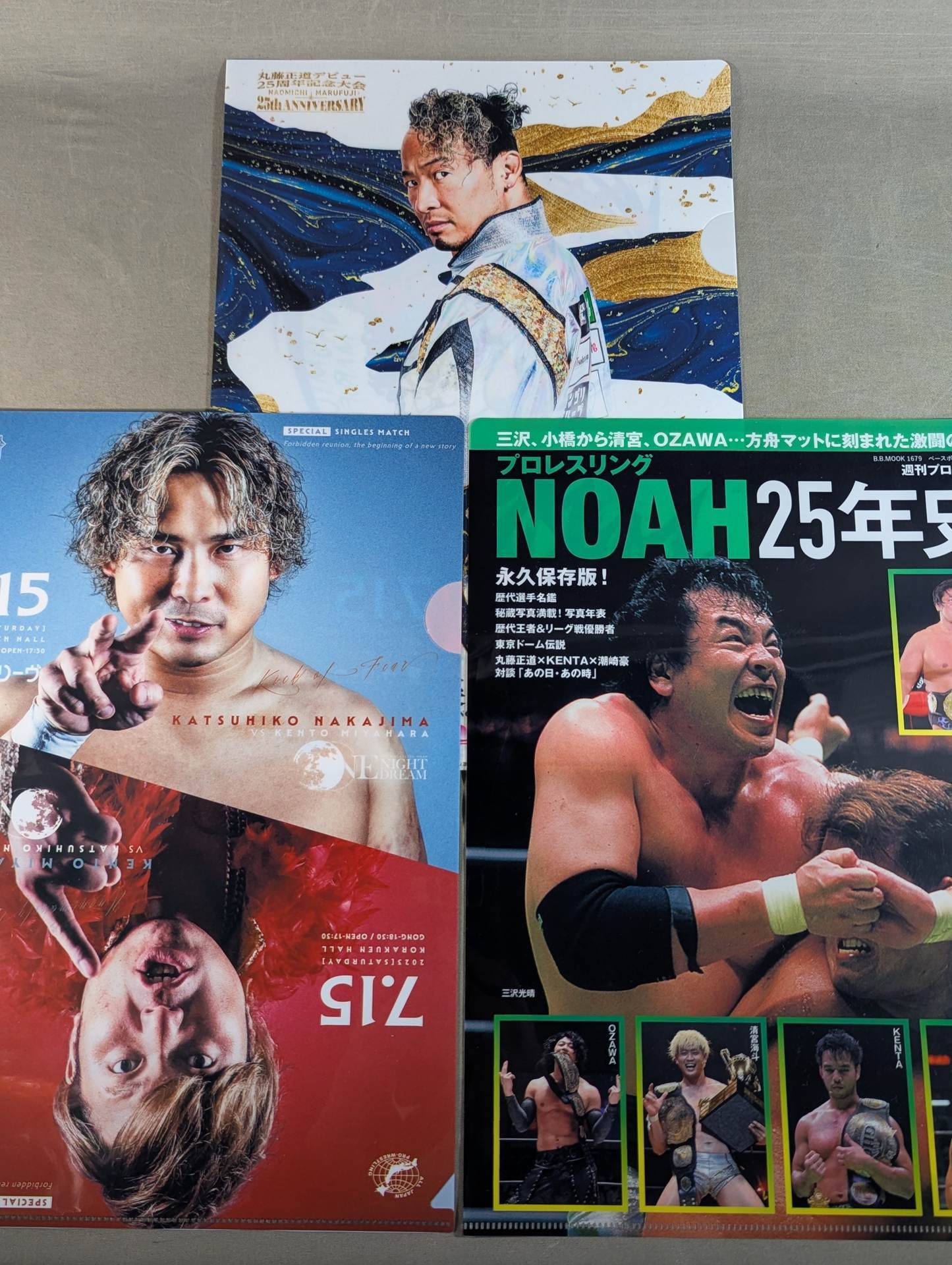 プロレスリングNOAH クリアファイルセット④ – 闘道館