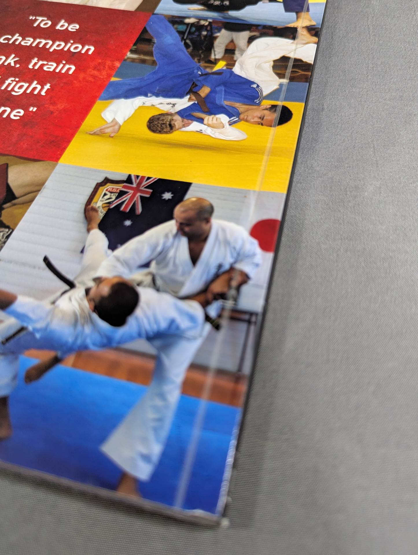 MIXED MARTIAL ARTS : WP ACTION SERIES