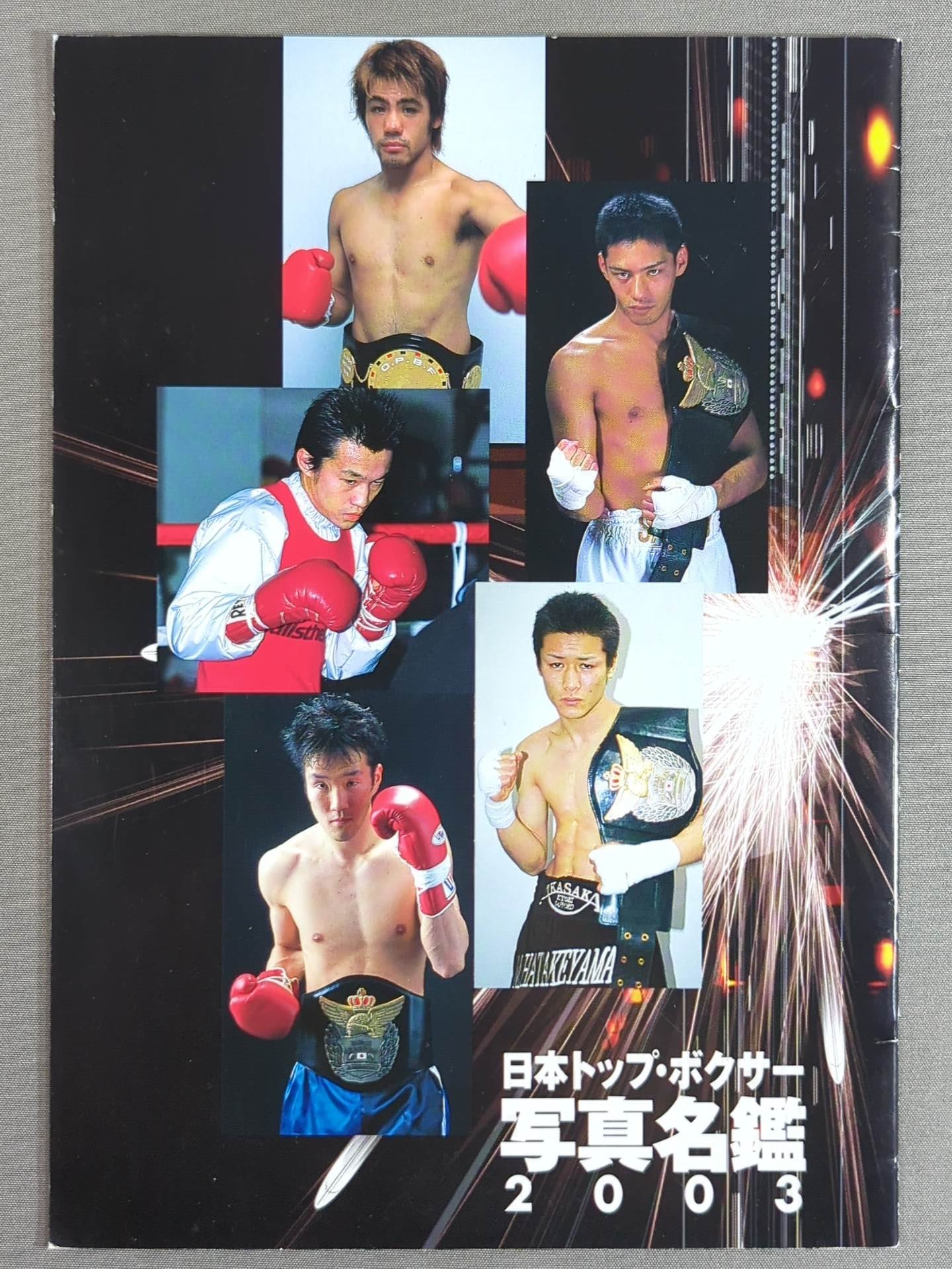 Japan's Top Boxers photo directory 2003