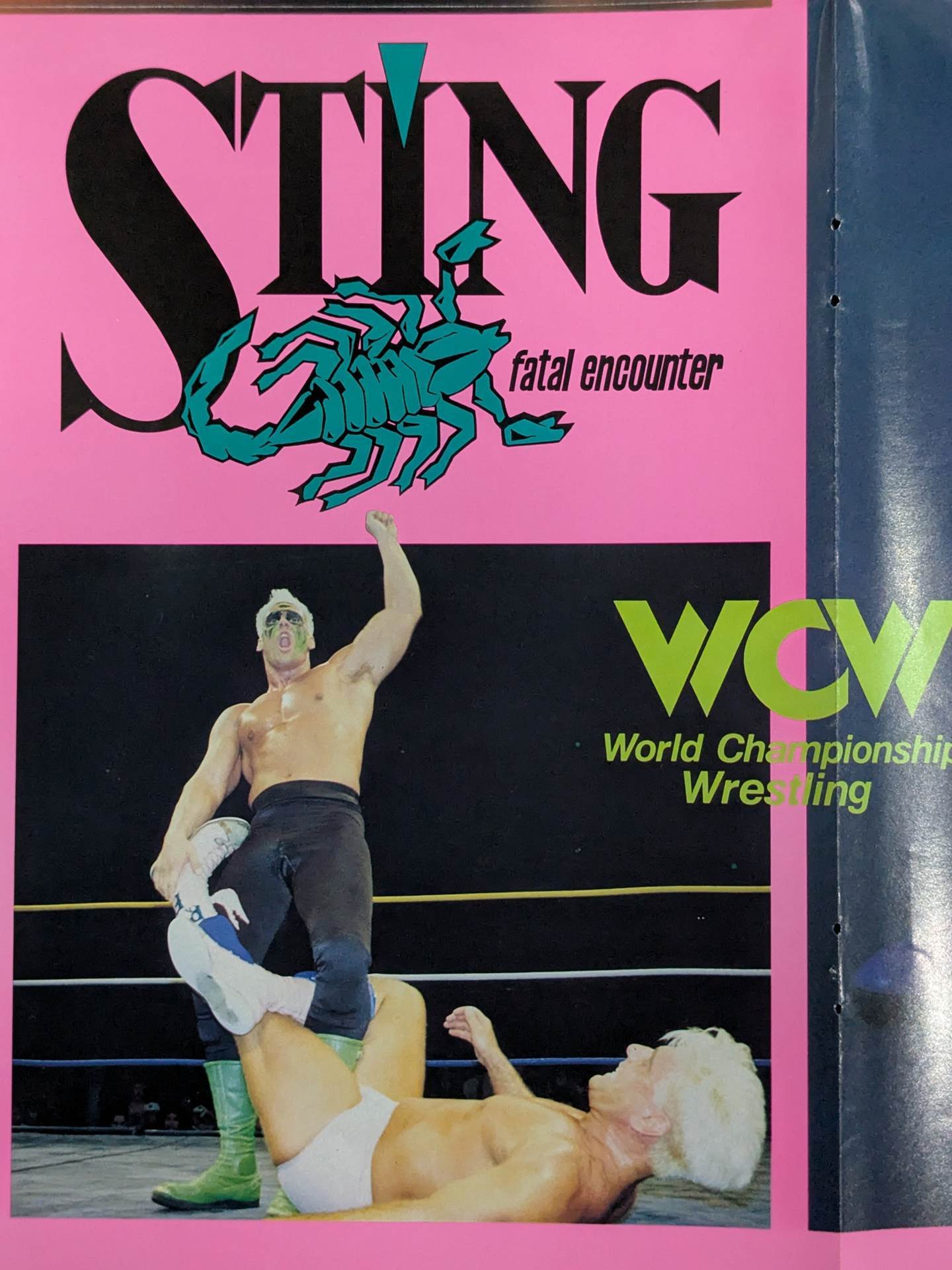 Sting Magazine Appendix Poster