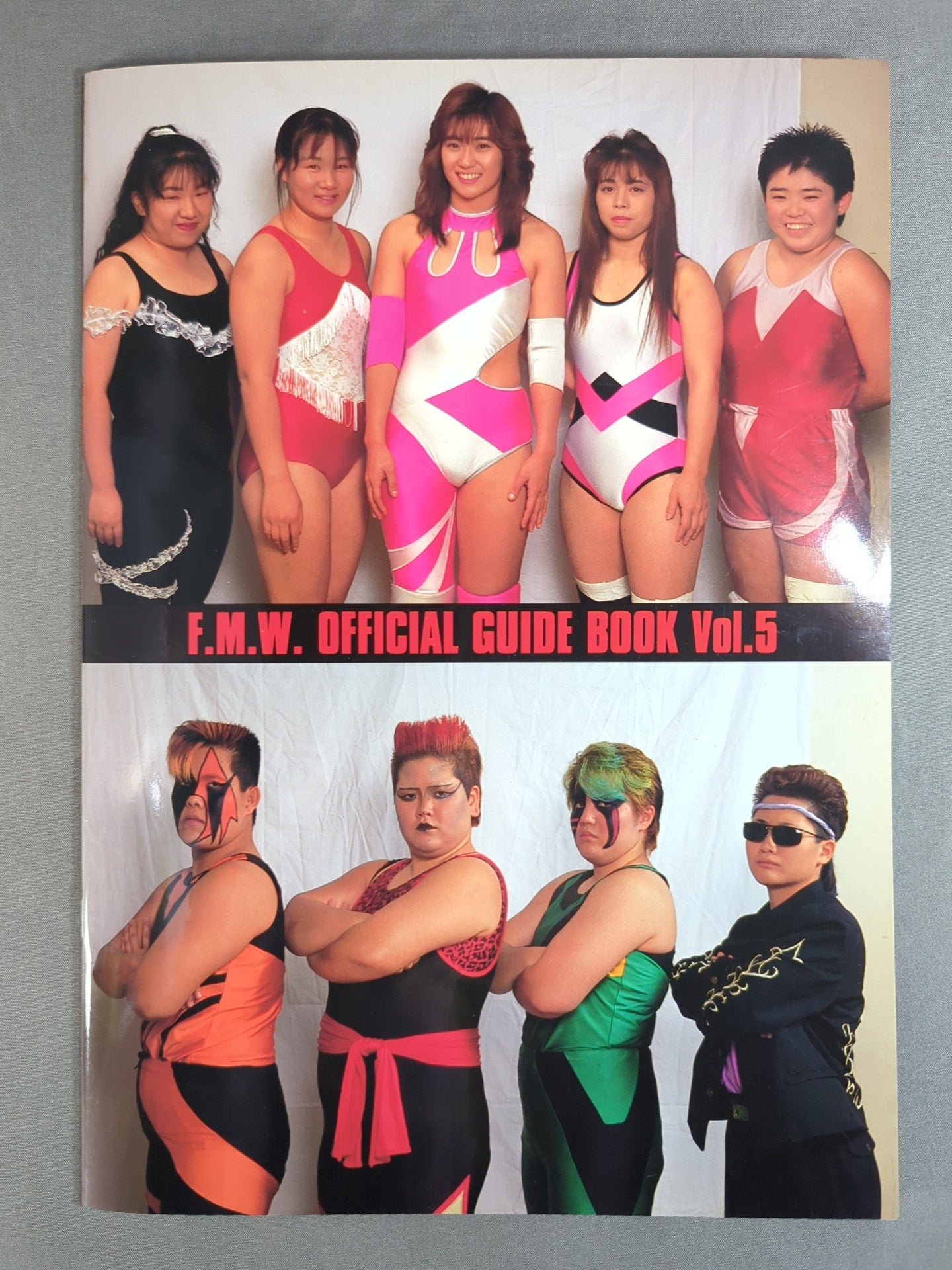 FMW / OFFICIAL GUIDE BOOK 1994 Vol.5