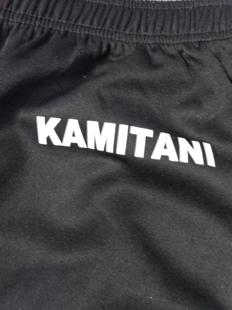 Hideyoshi Kamiya