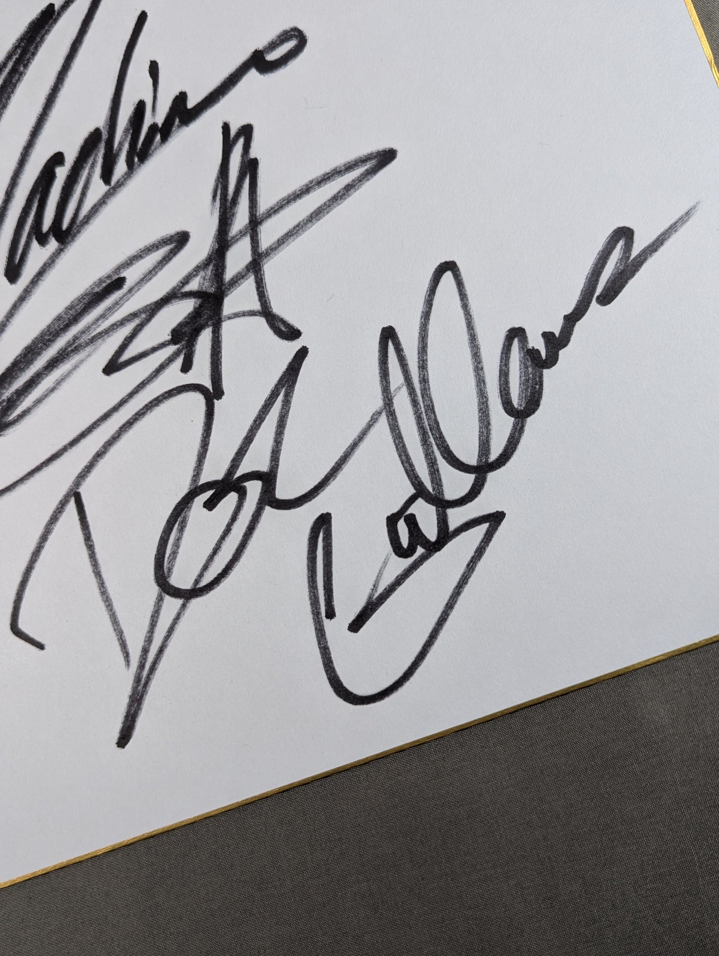 カール・アンダーソン&ドク・ギャローズ(キングオブプロレスリング色紙)