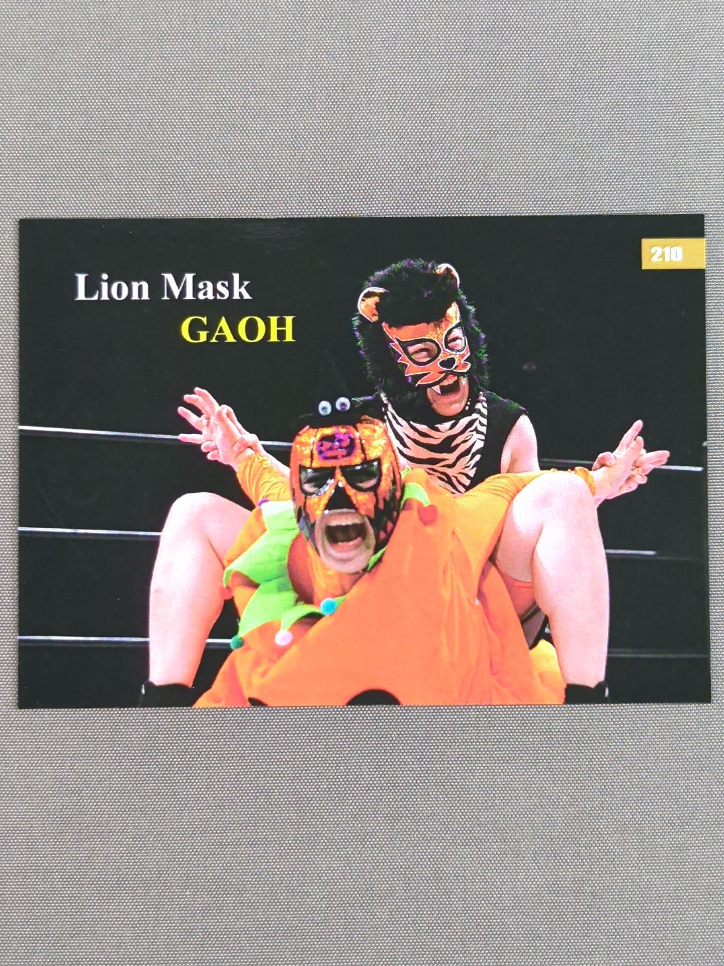 2019 STARDOM COLLECTION CARD 小野崎玲皇(牙皇) 公式サインカード