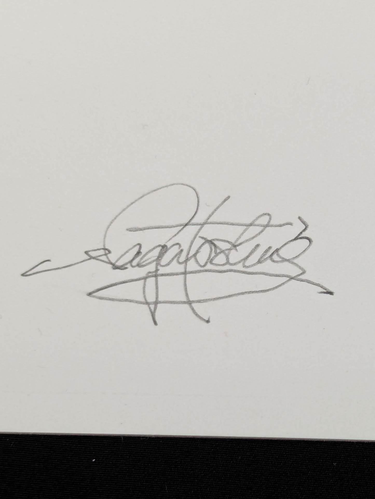 ★ Nagatoshi Sakai Original art work ★ Super Tiger & Akira Maeda