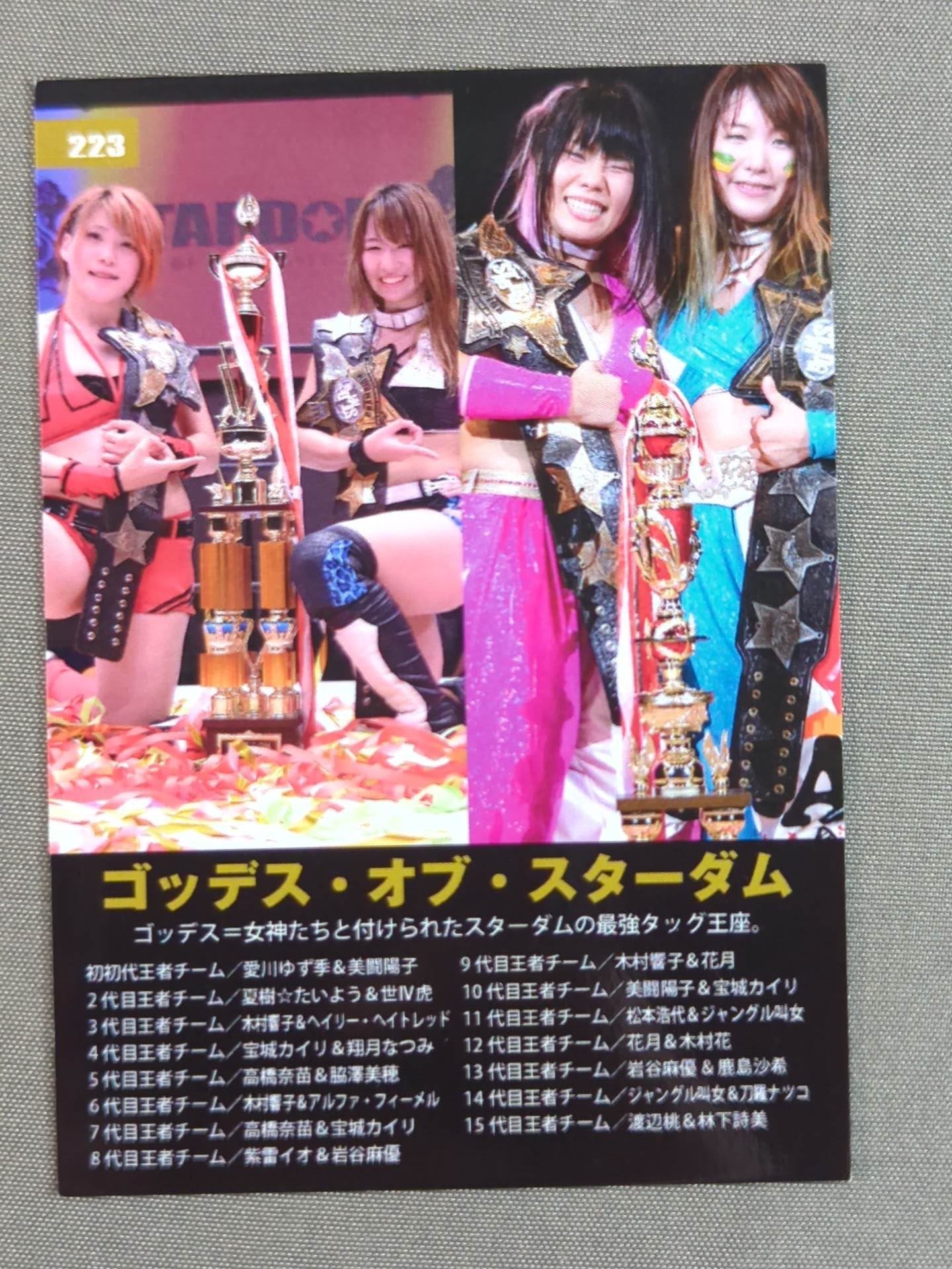 2019 STARDOM COLLECTION CARD Goddess of Stardom (223)