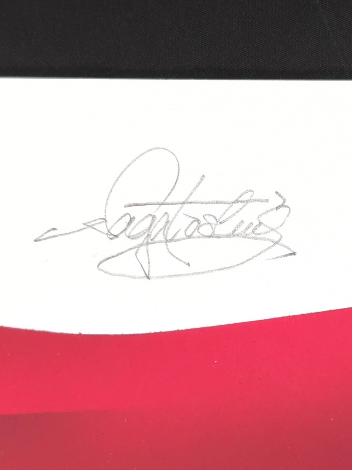 ★ Nagatoshi Sakai 's original painting work ★ "Four-dimensional killing method" The first tiger mask (legend)