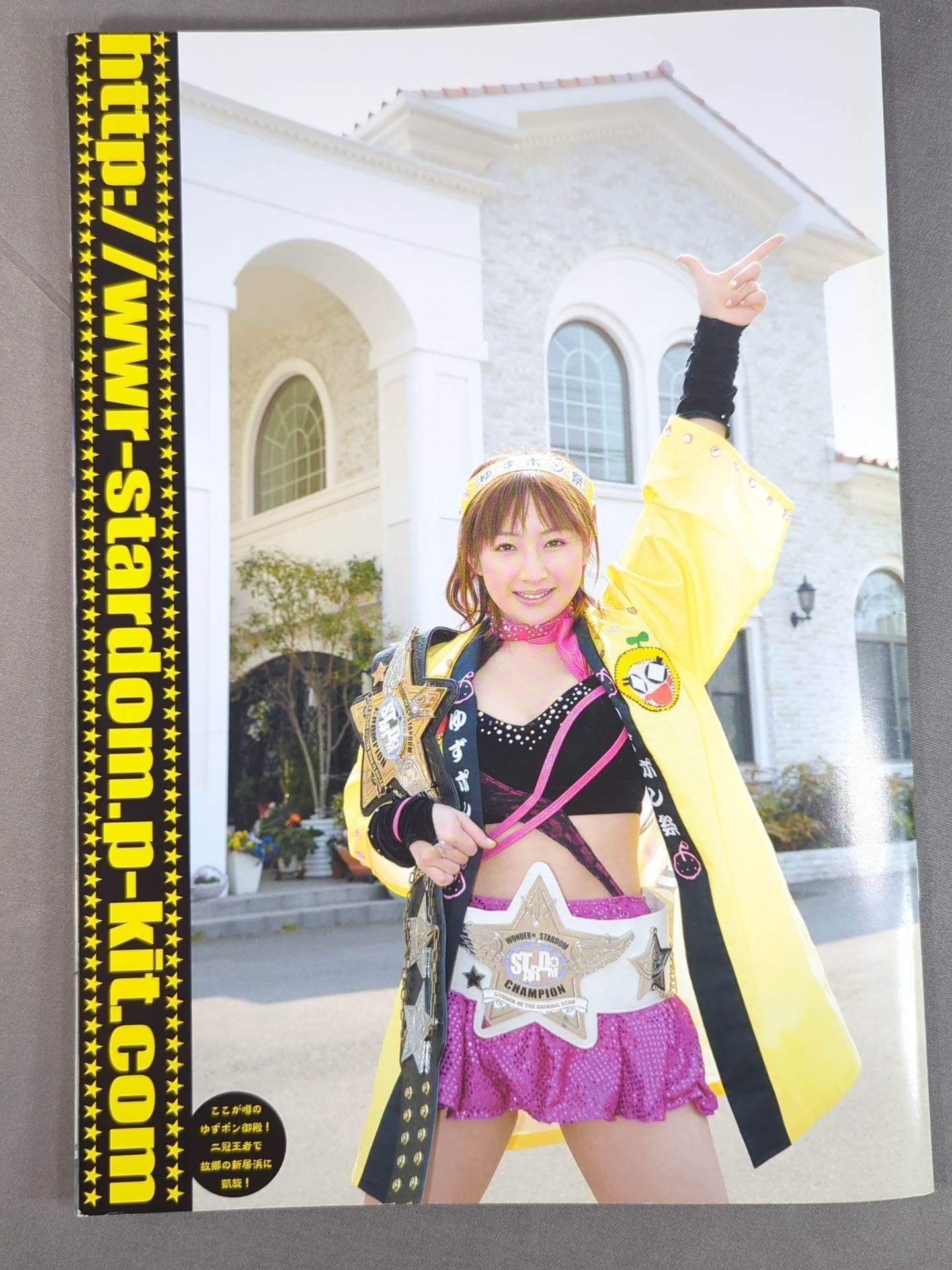 STARDOM OFFICIAL GUIDE BOOK Vol.16