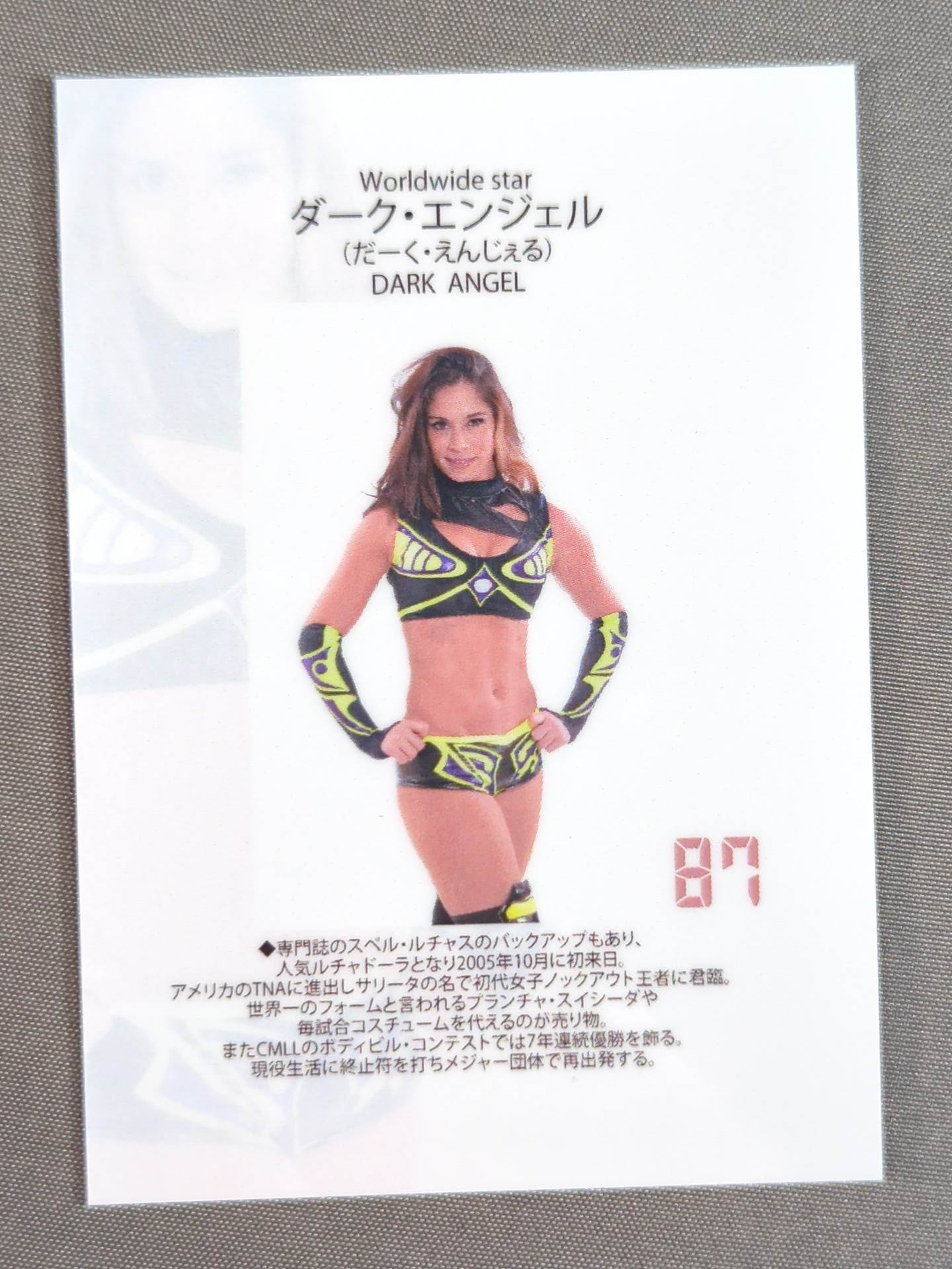 STARDOM COLLECTION CARD Dark Angel(87)