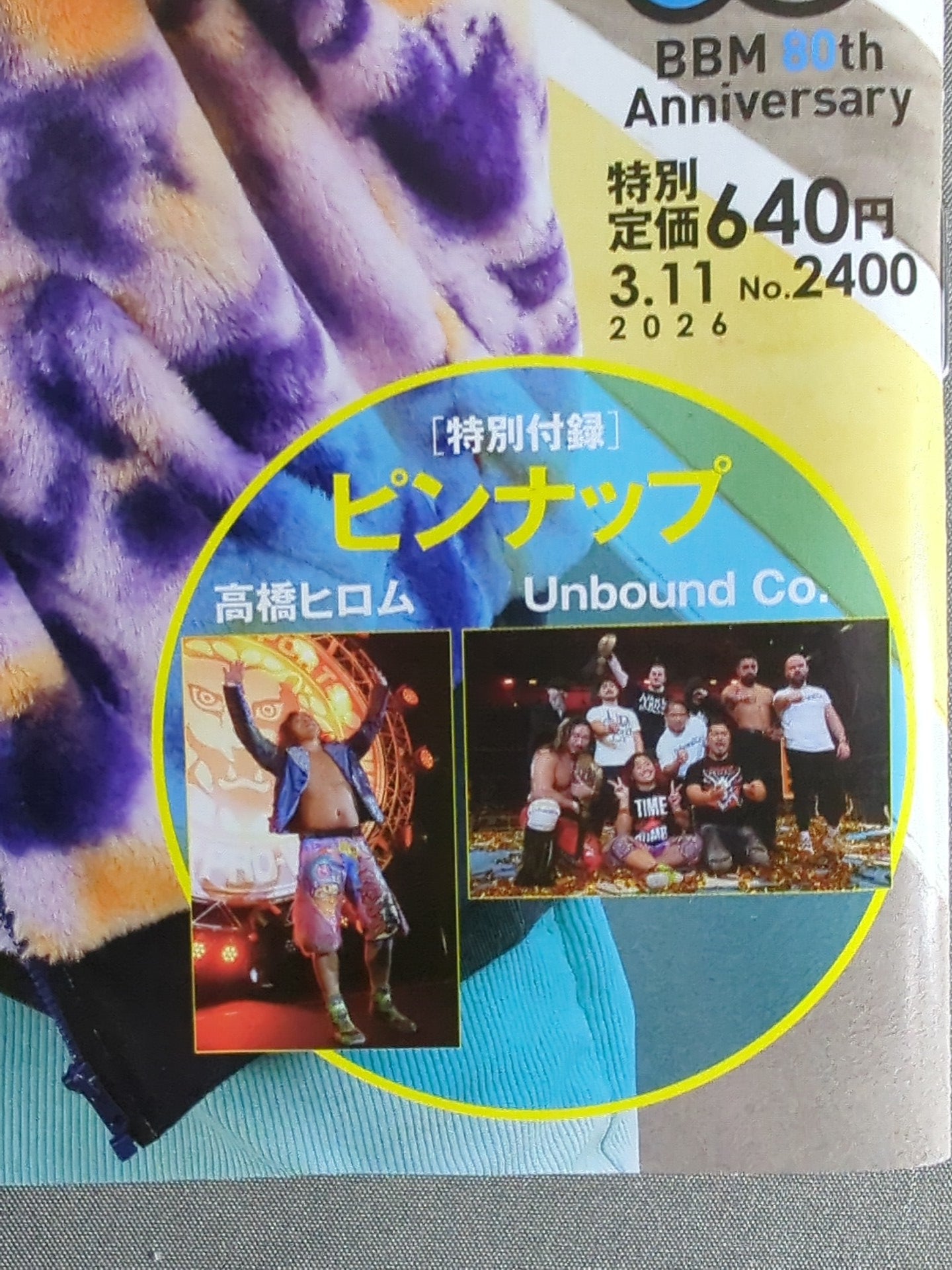 Weekly Pro Wrestling 2400