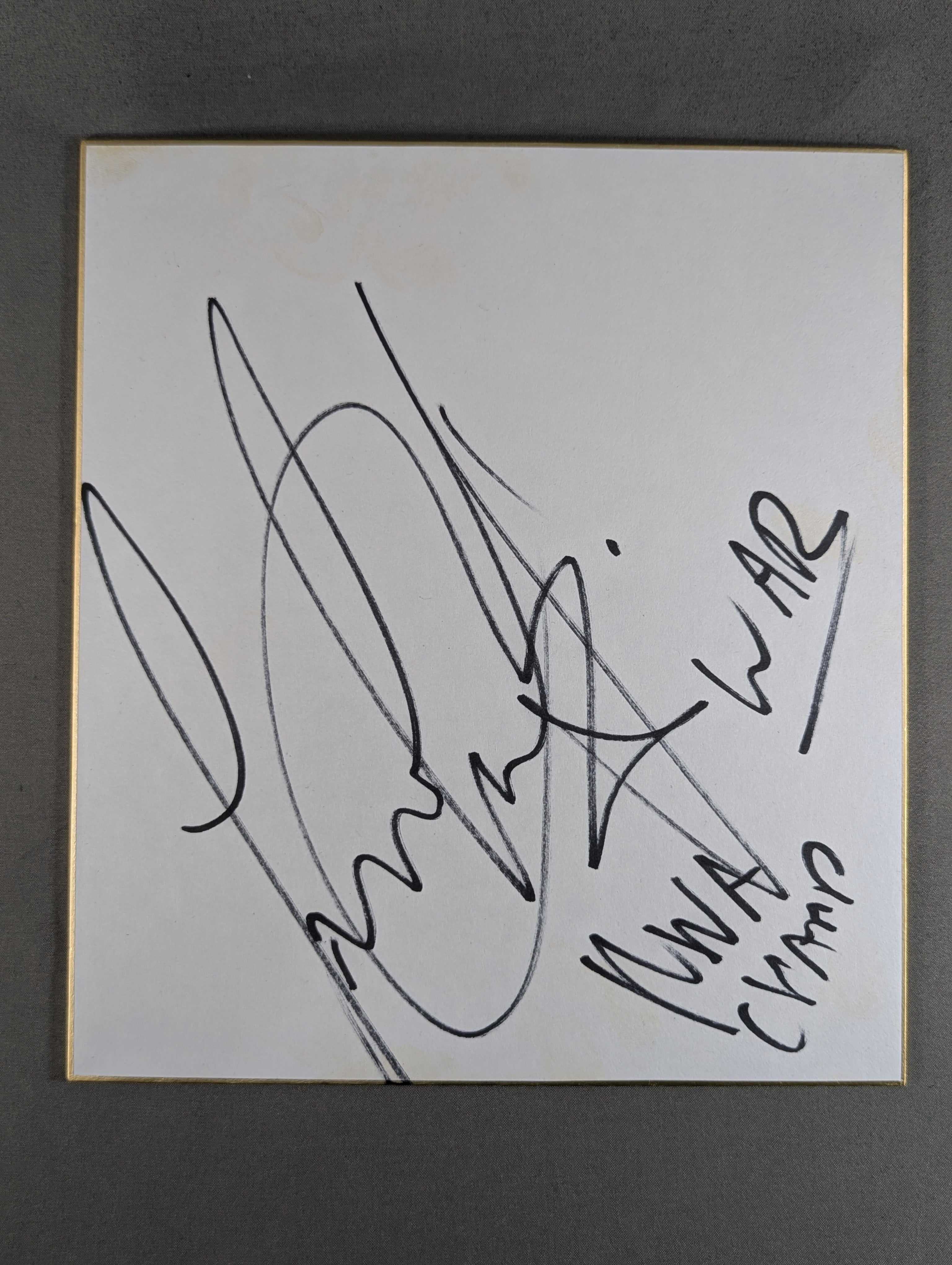 ライオン・ハート – 闘道館