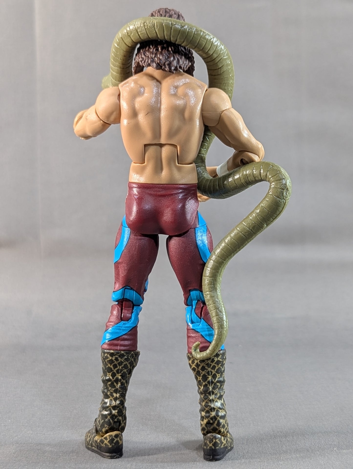 ジェイク・ロバーツ(ヘビ柄タイツ)