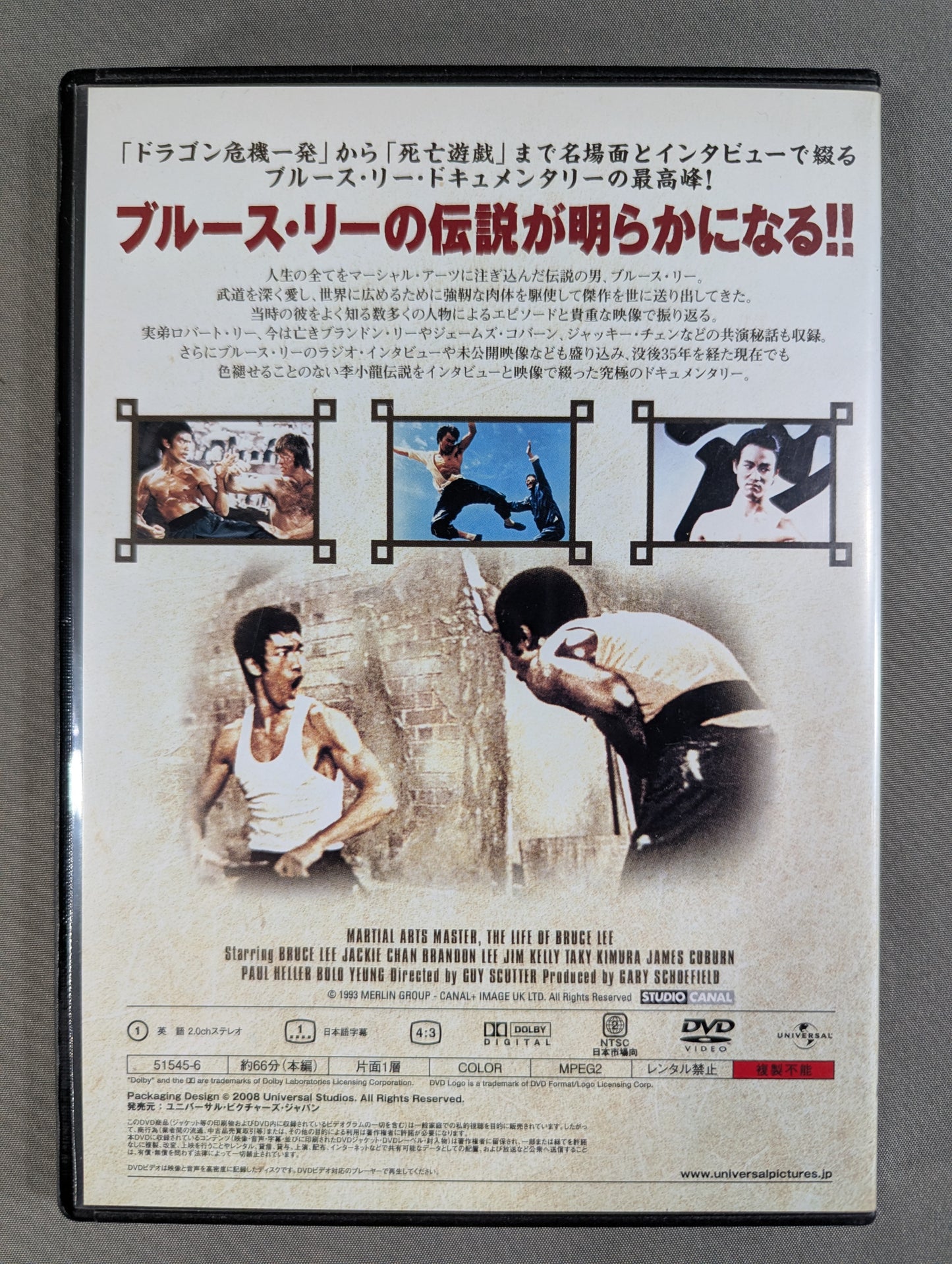 BRUCE LEE MARTIAL ARTS MASTER