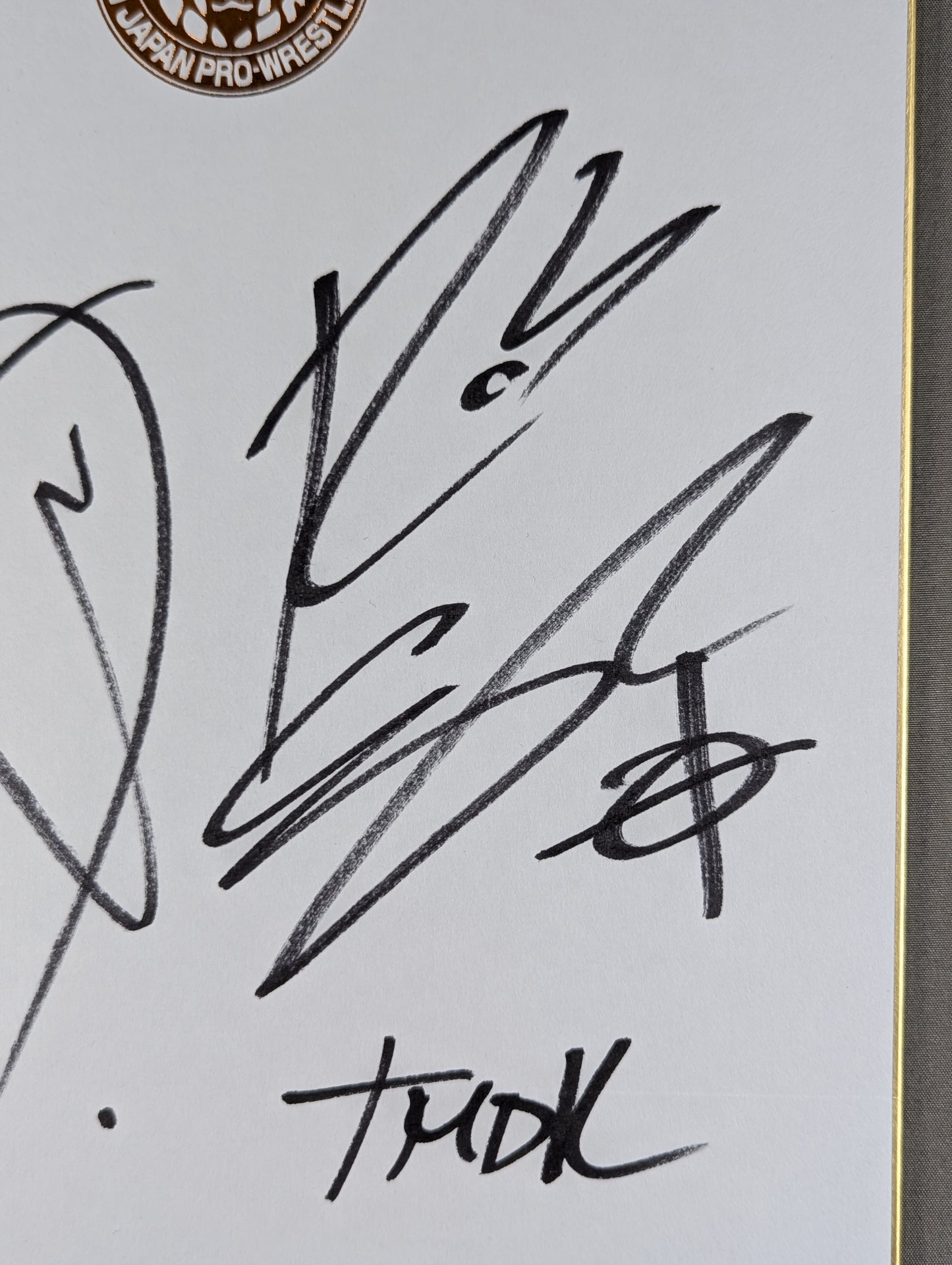 Kosei Fujita & Robbie Eagles (Lion Mark ) Shikishi ( Autograph board ) )