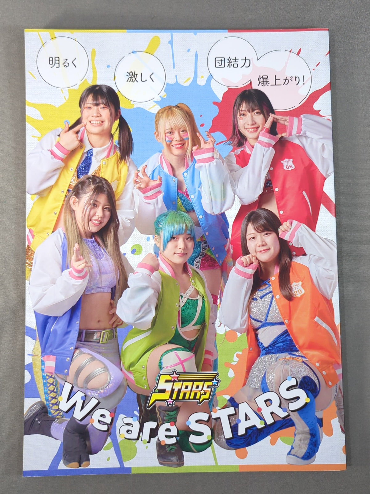 STARDOM OFFICIAL GUIDE BOOK Vol.142