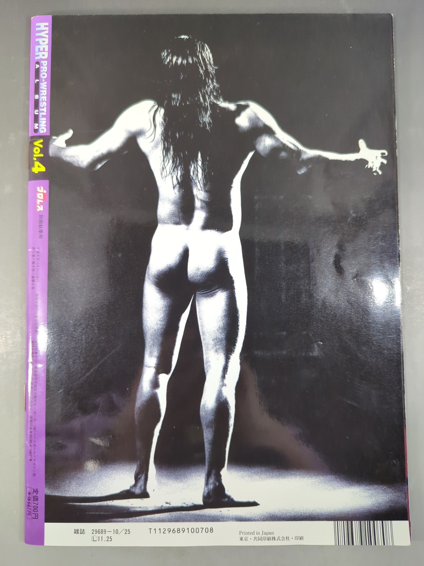 Hyper Pro Wrestling Album 4 HAYABUSA