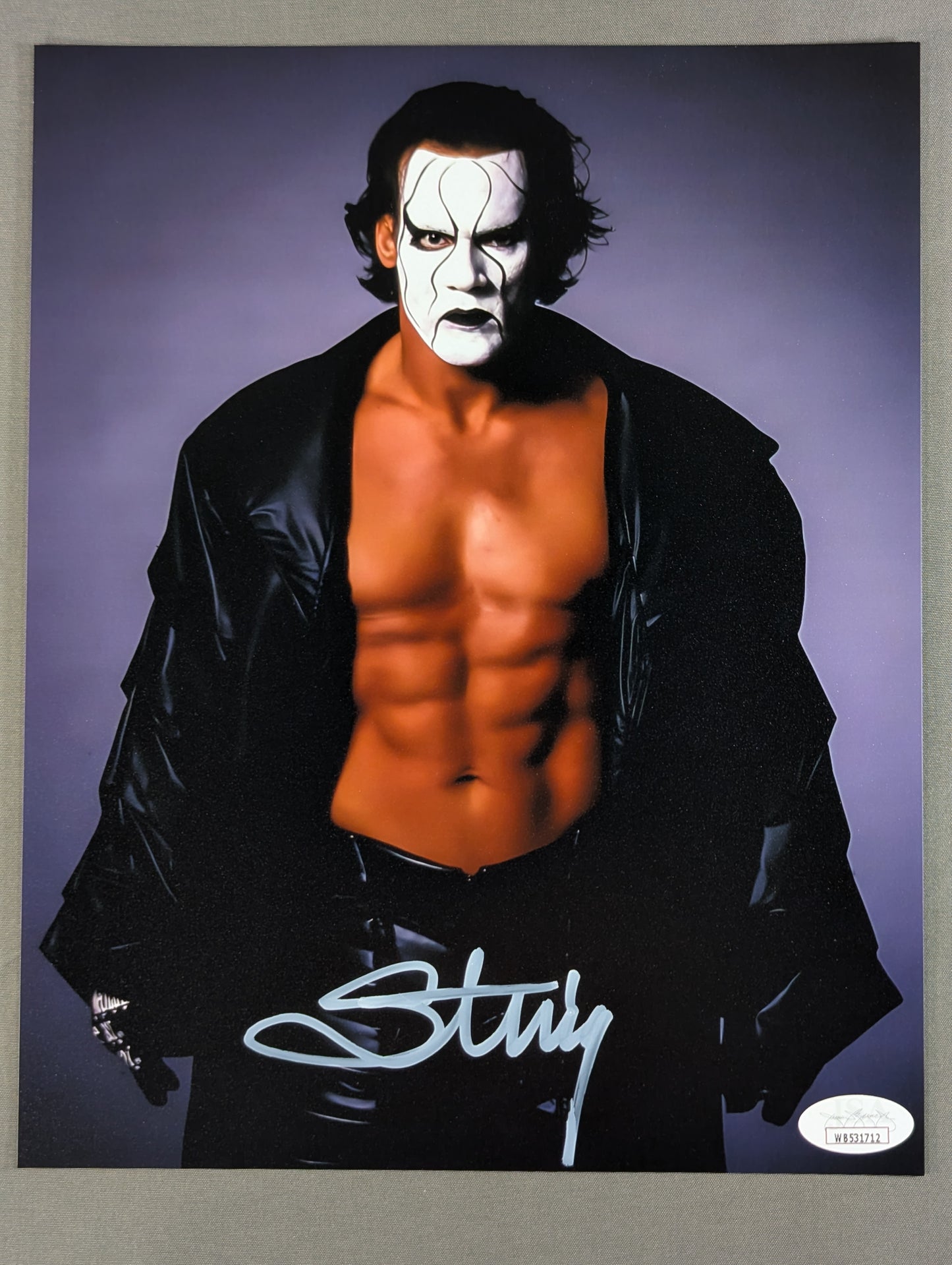 ★JSA★ Sting hand signed autograph Pro-Photo (Jacket)