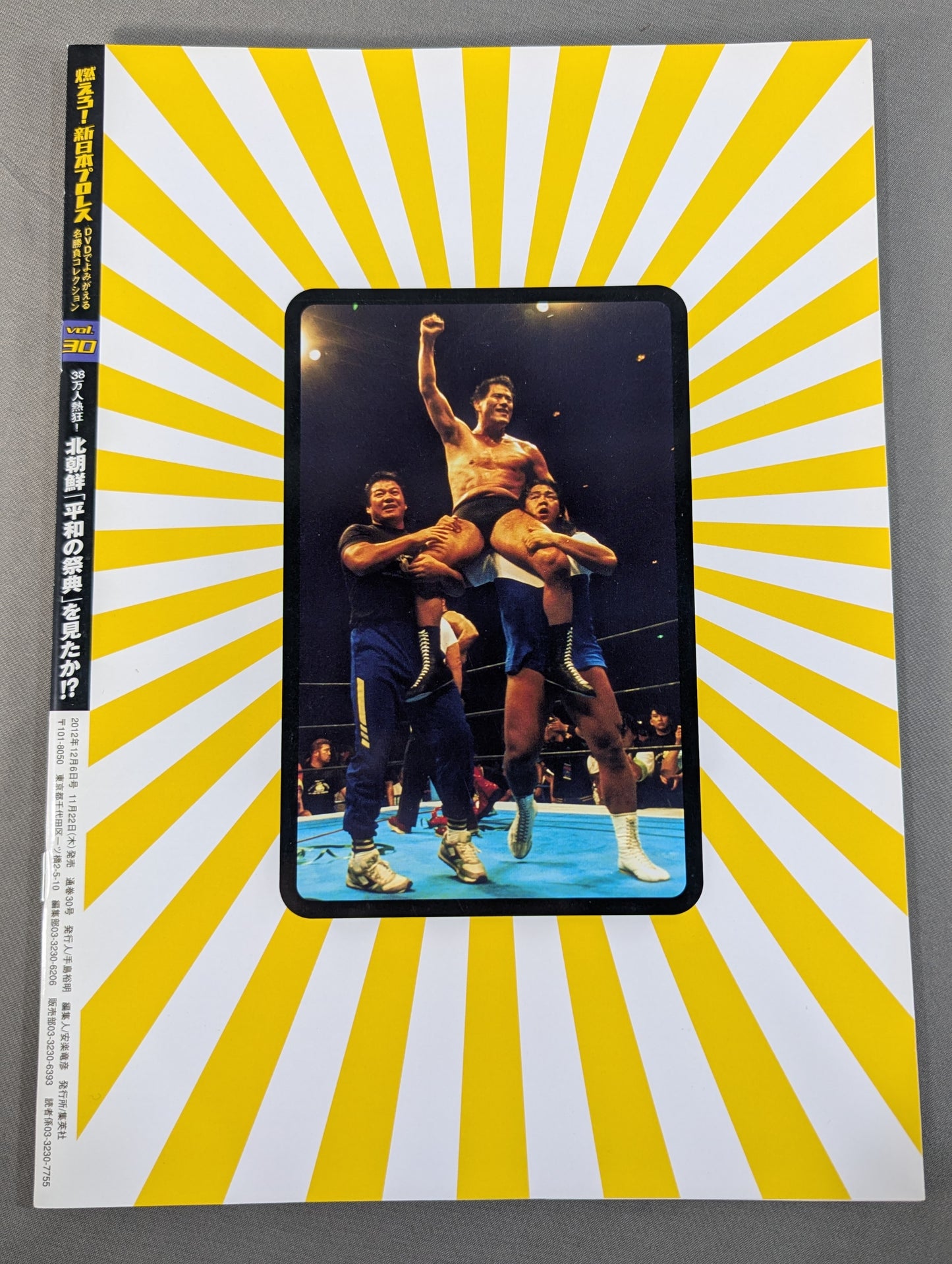 Burn! New Japan Pro Wrestling vol.30