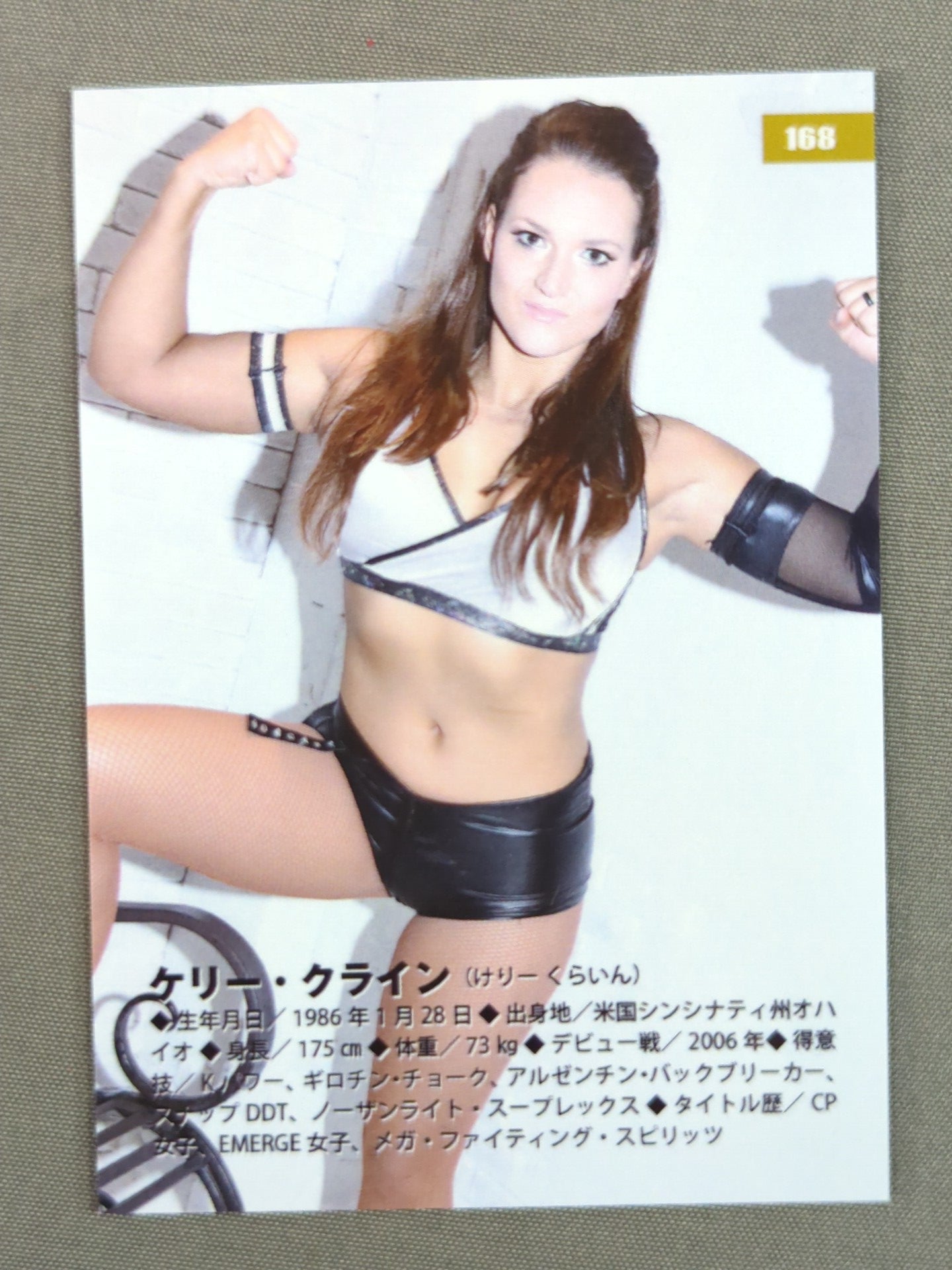 2019 STARDOM COLLECTION CARD Kelly Klein(168)
