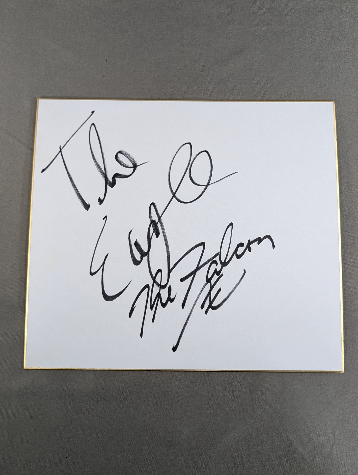 The Eagle & The Falcon