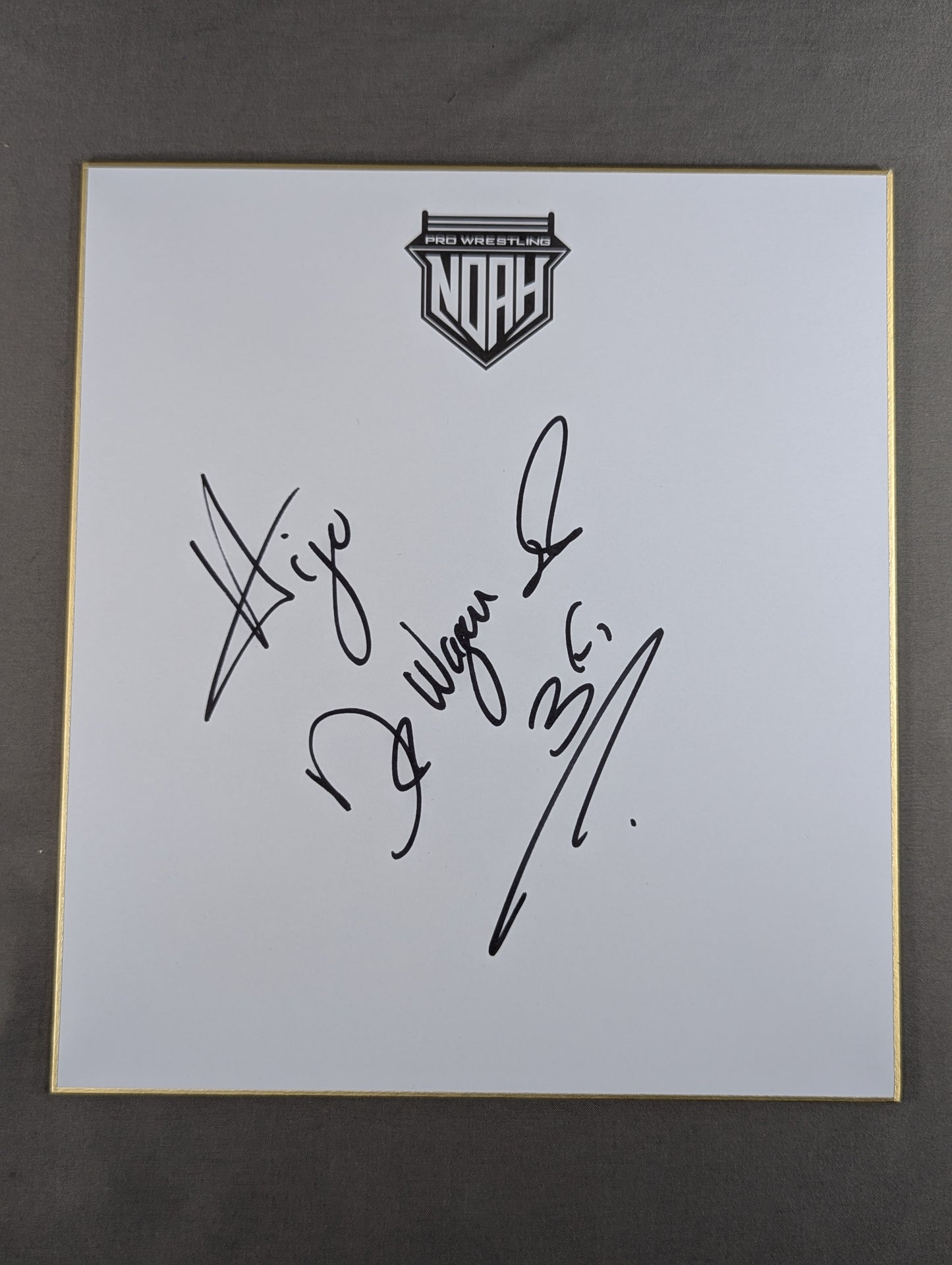 Dr. Wagner , Jr. (NOAH only) Shikishi ( Autograph board ) )