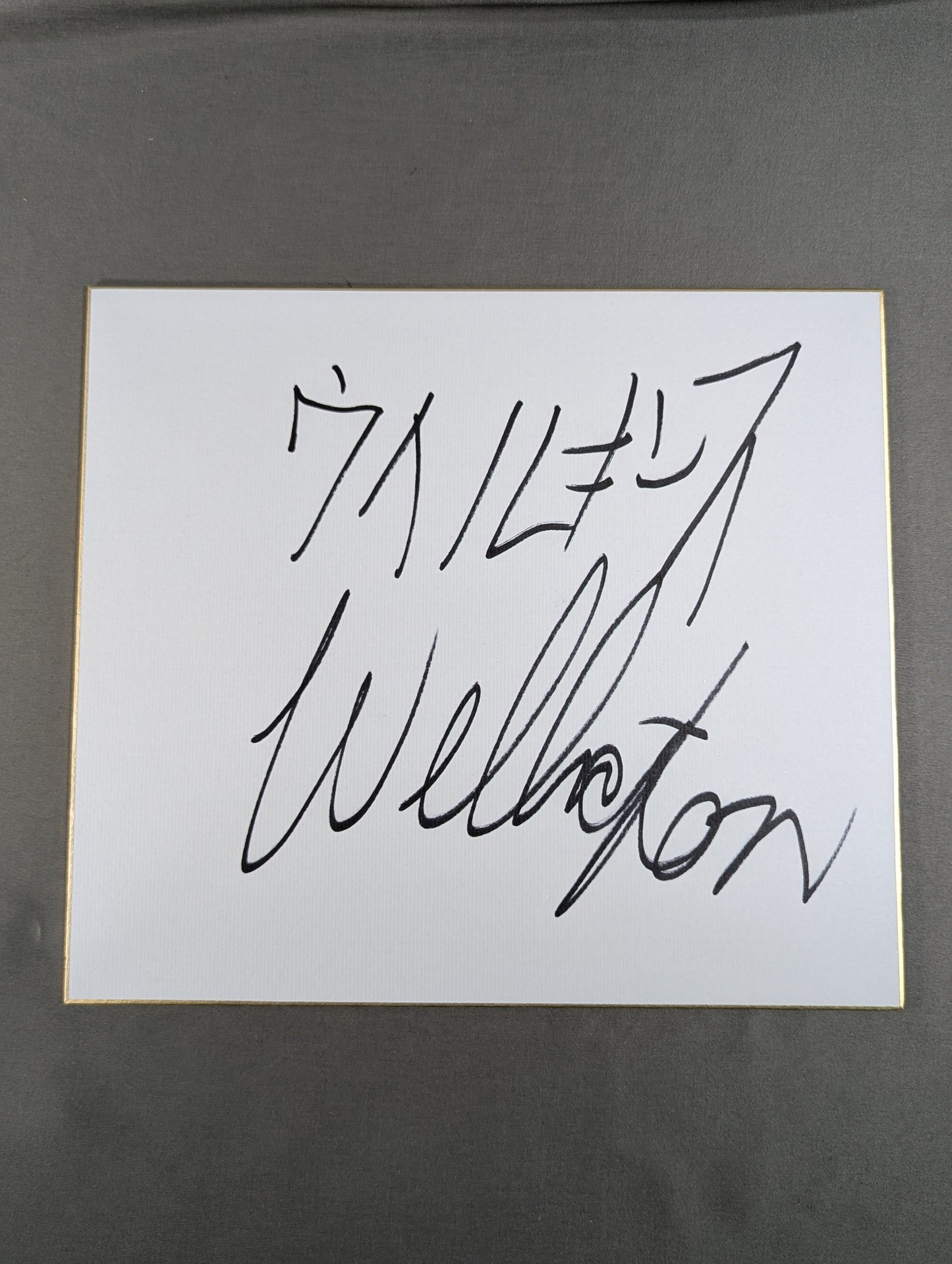 ウェリントン・ウィルキンスJr.