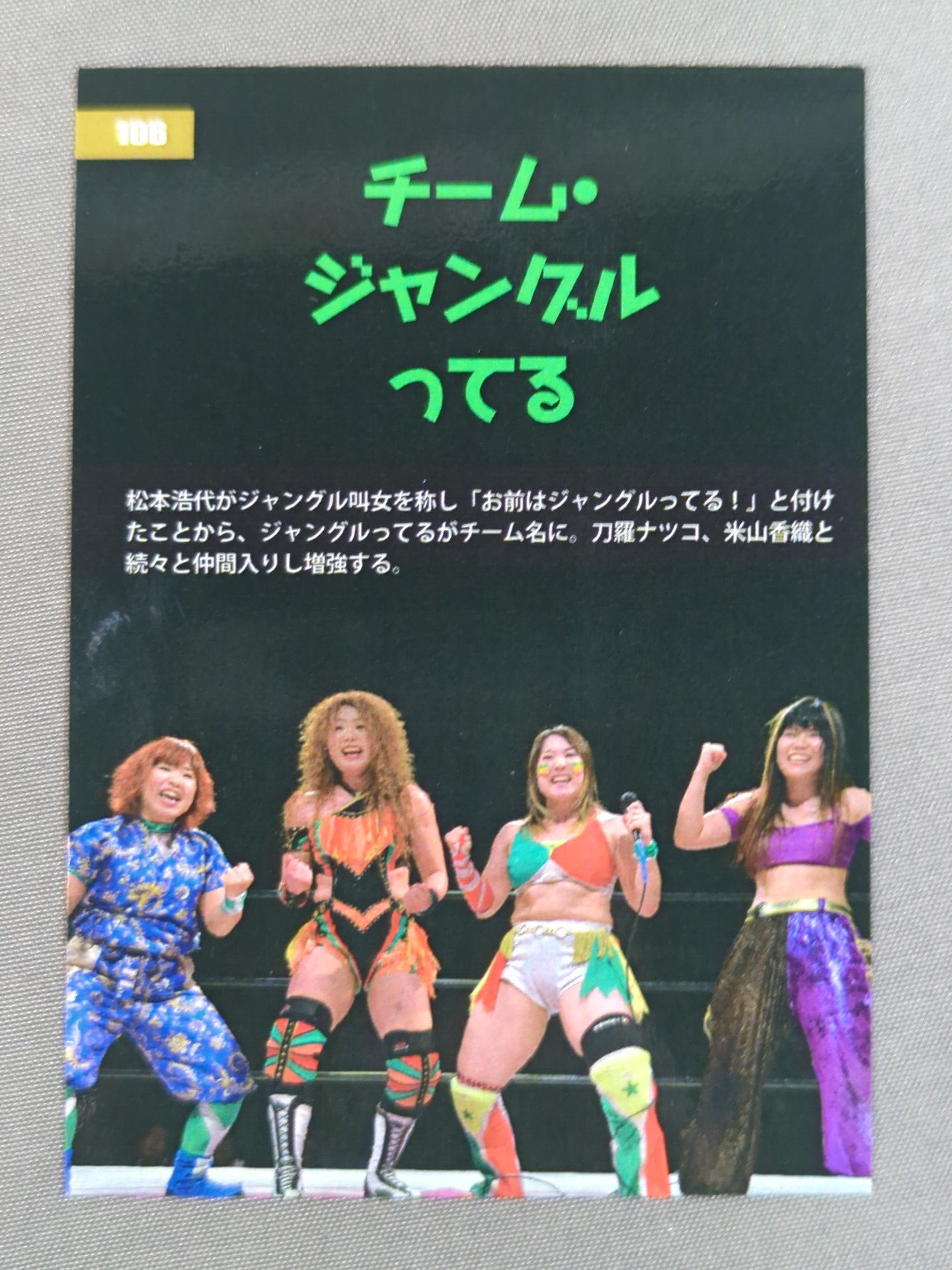 2017 STARDOM COLLECTION CARD Team Jungle (106)